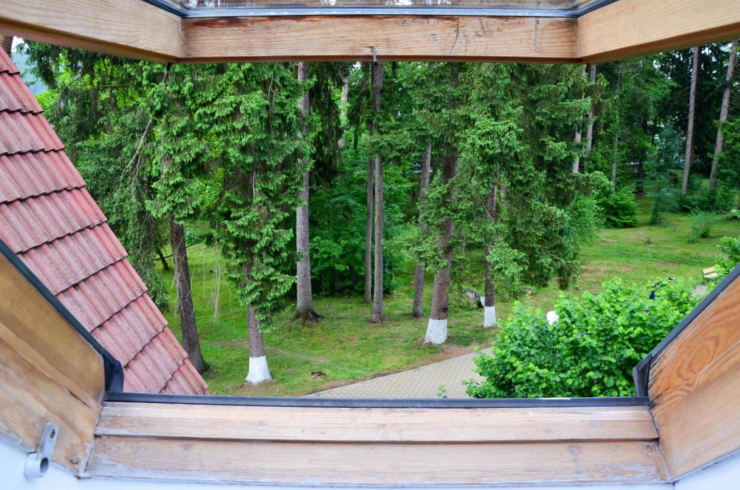 Superior Family Room - Attic - Photo 2