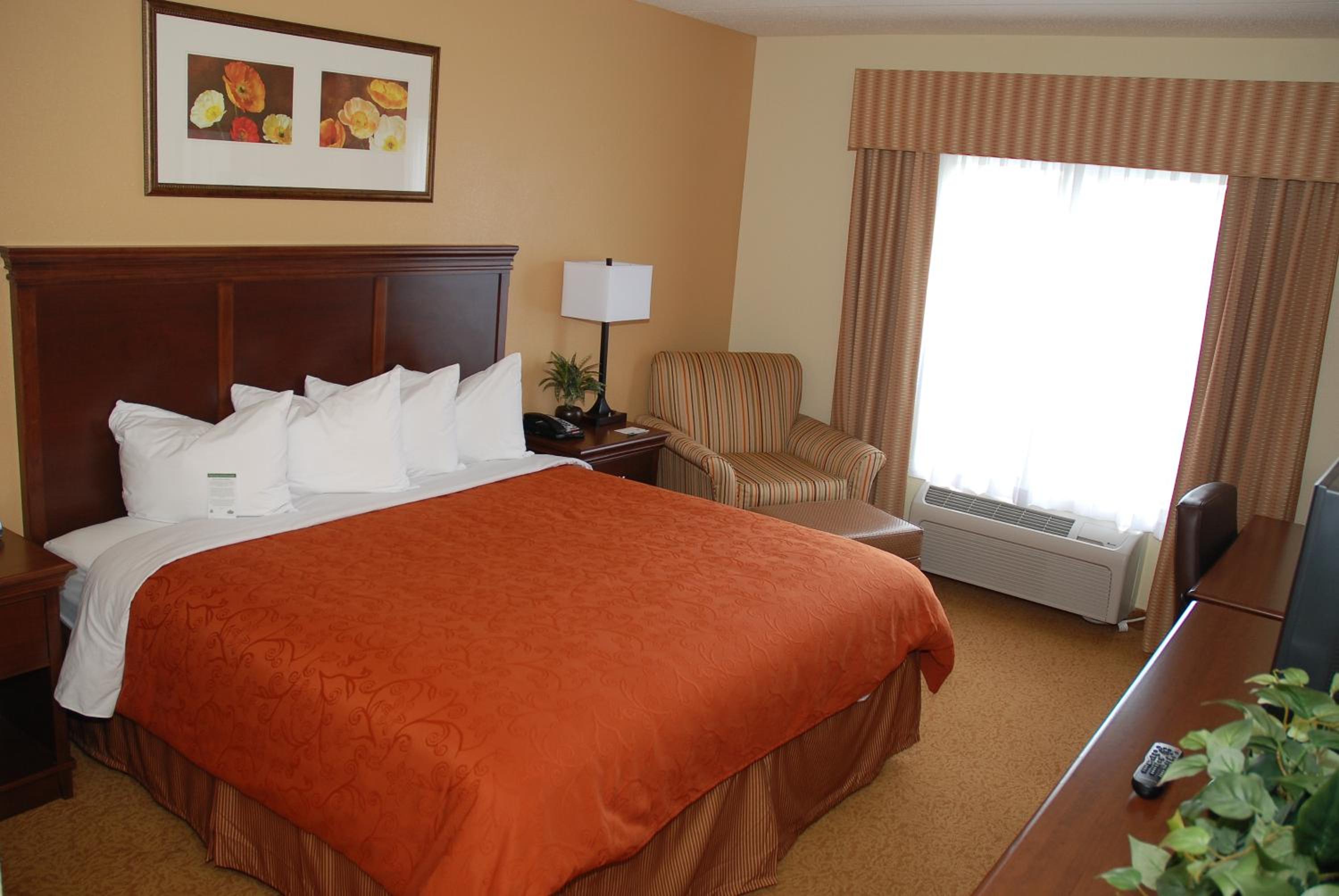 King Room - Photo 8