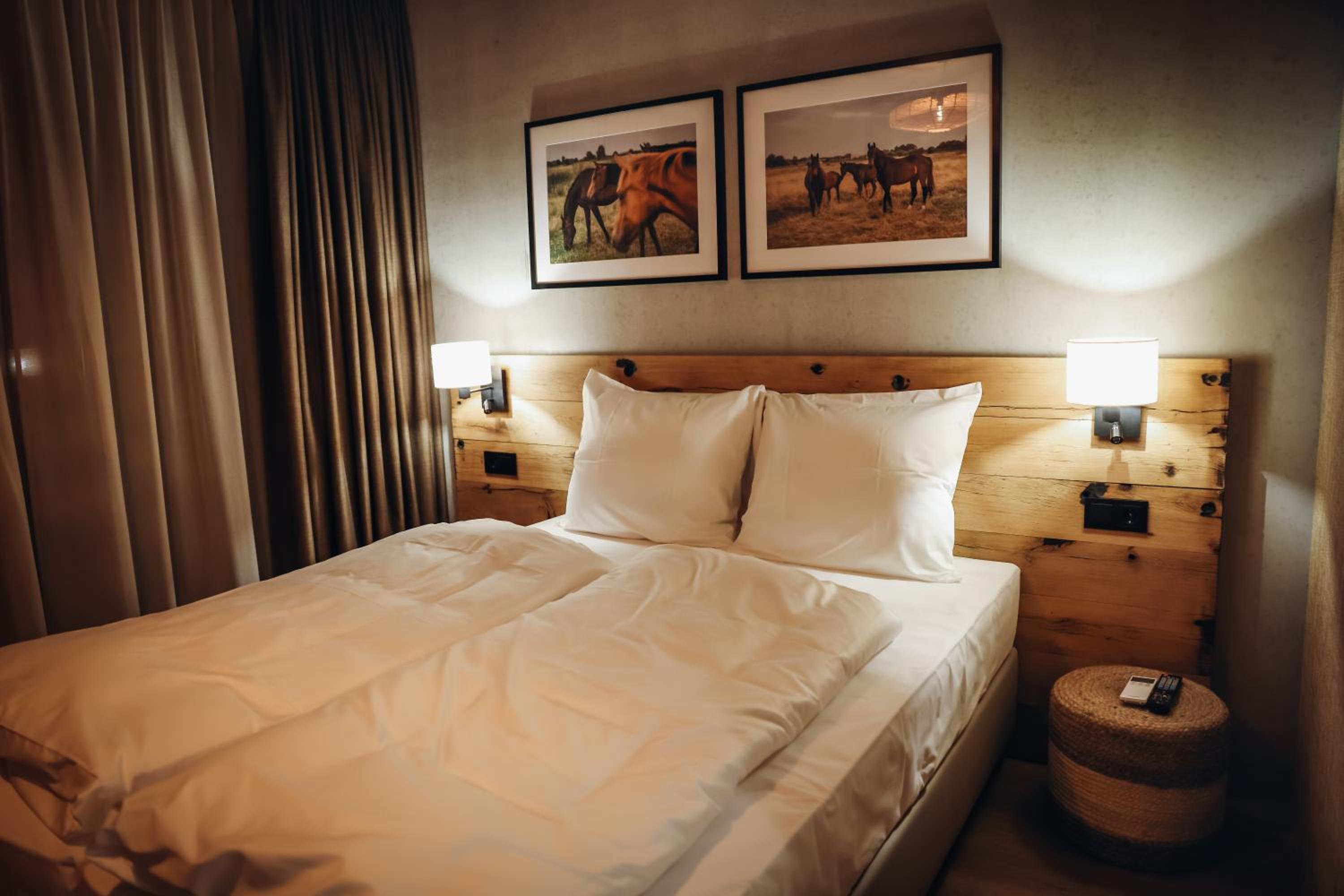 Deluxe Double or Twin Room - Photo 17