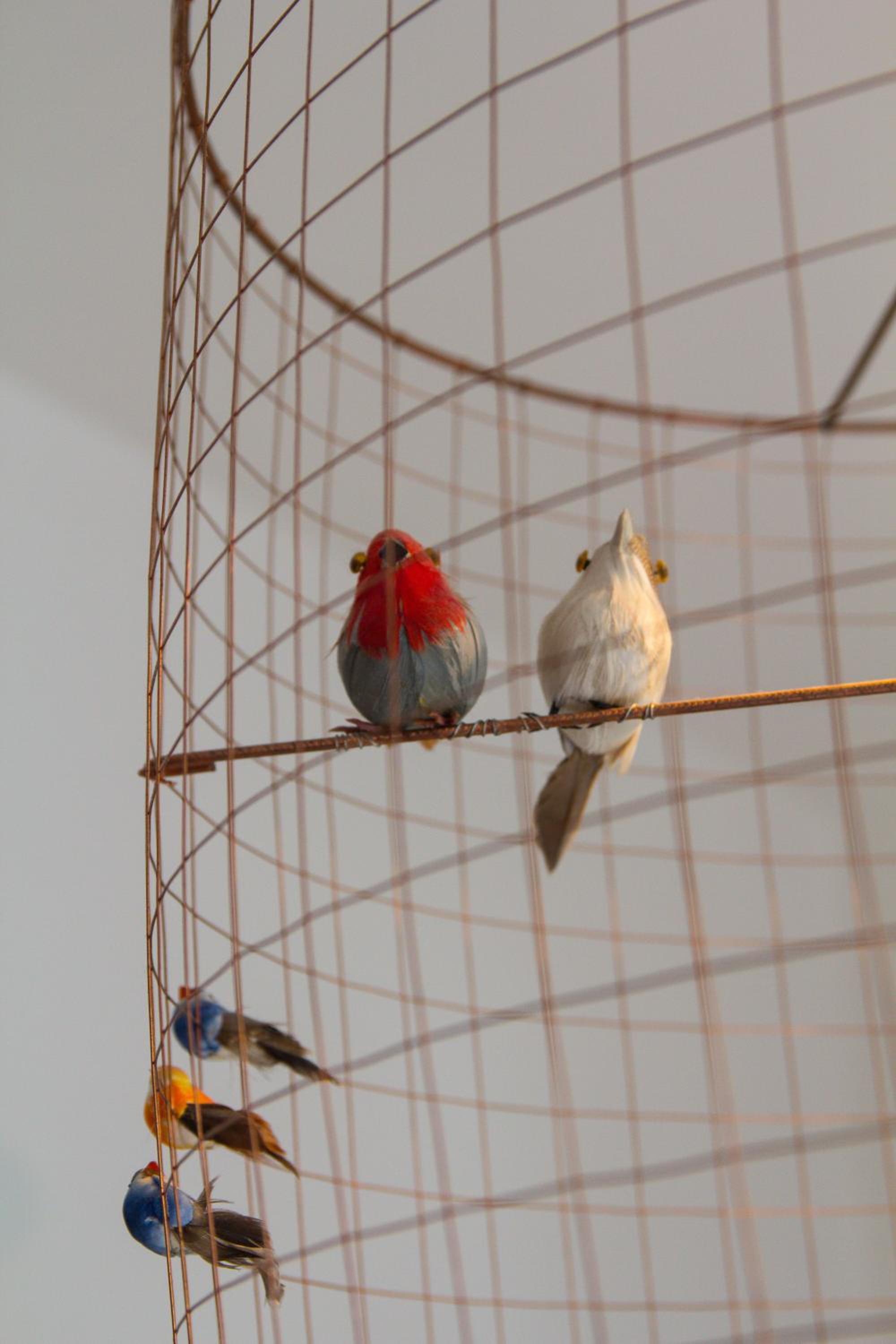 Studio (3 Adults) photo 2