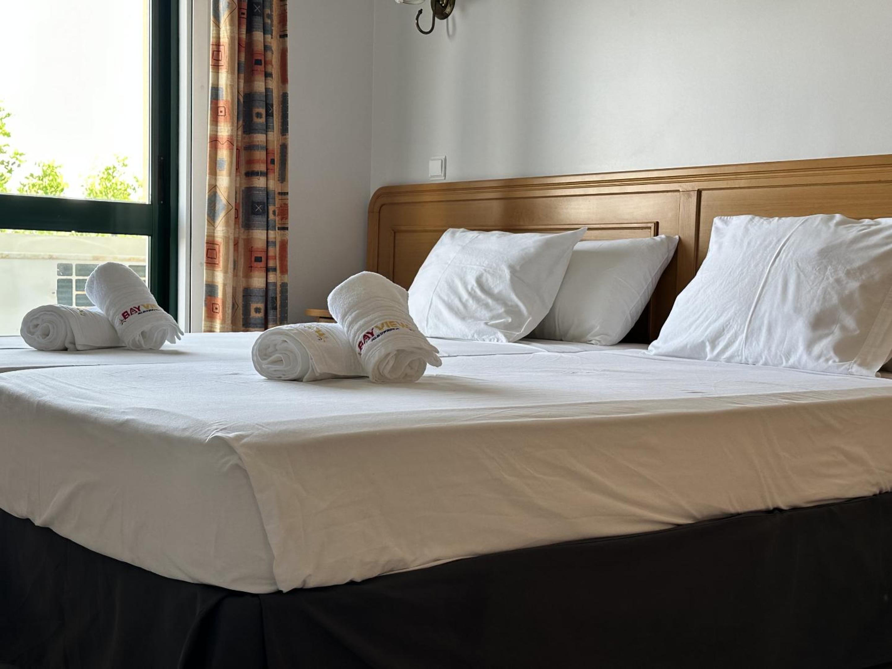 Deluxe One-Bedroom Apartment