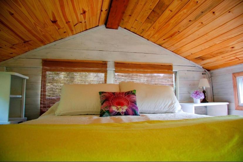 One-Bedroom House photo 3