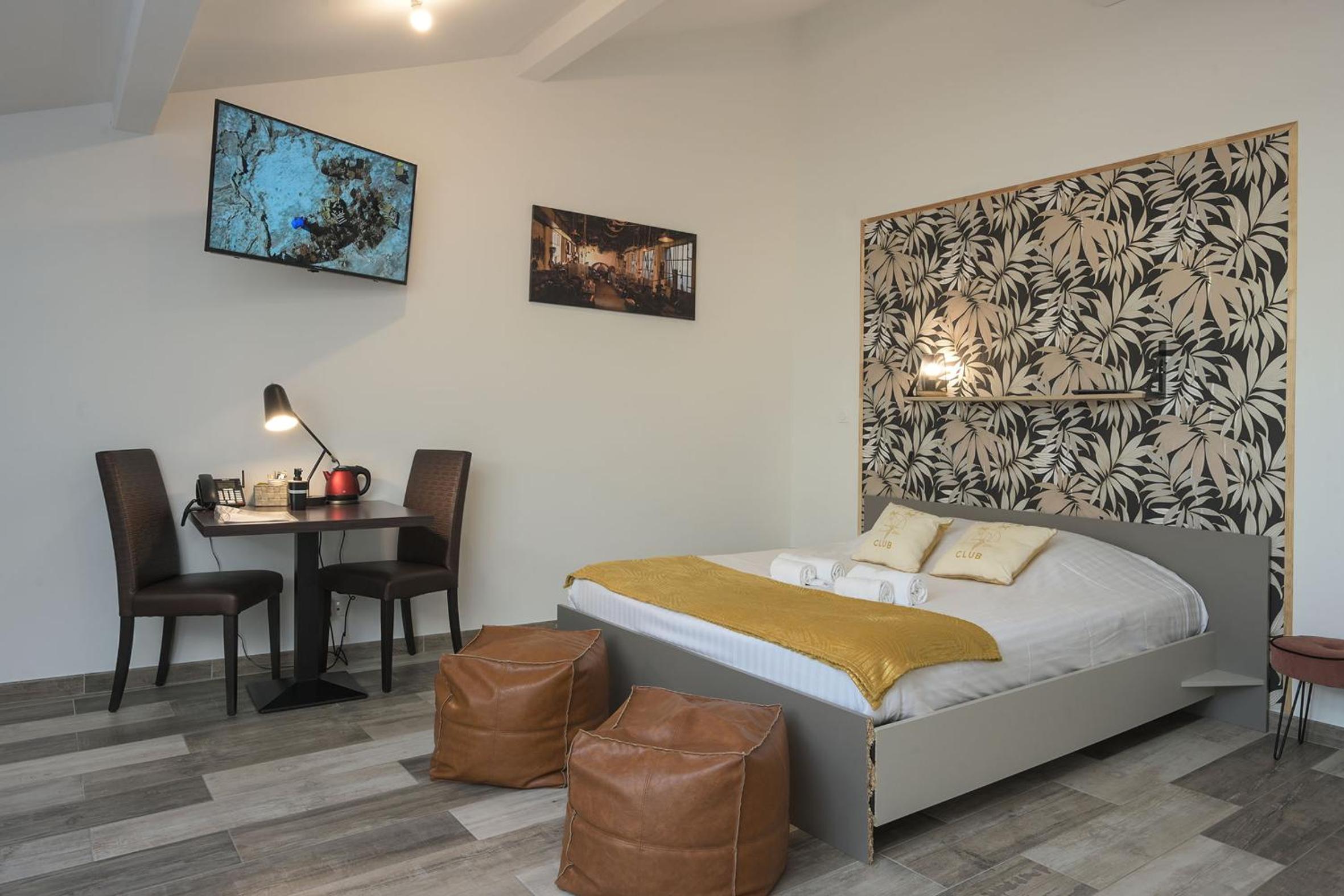 Suite - Photo 1