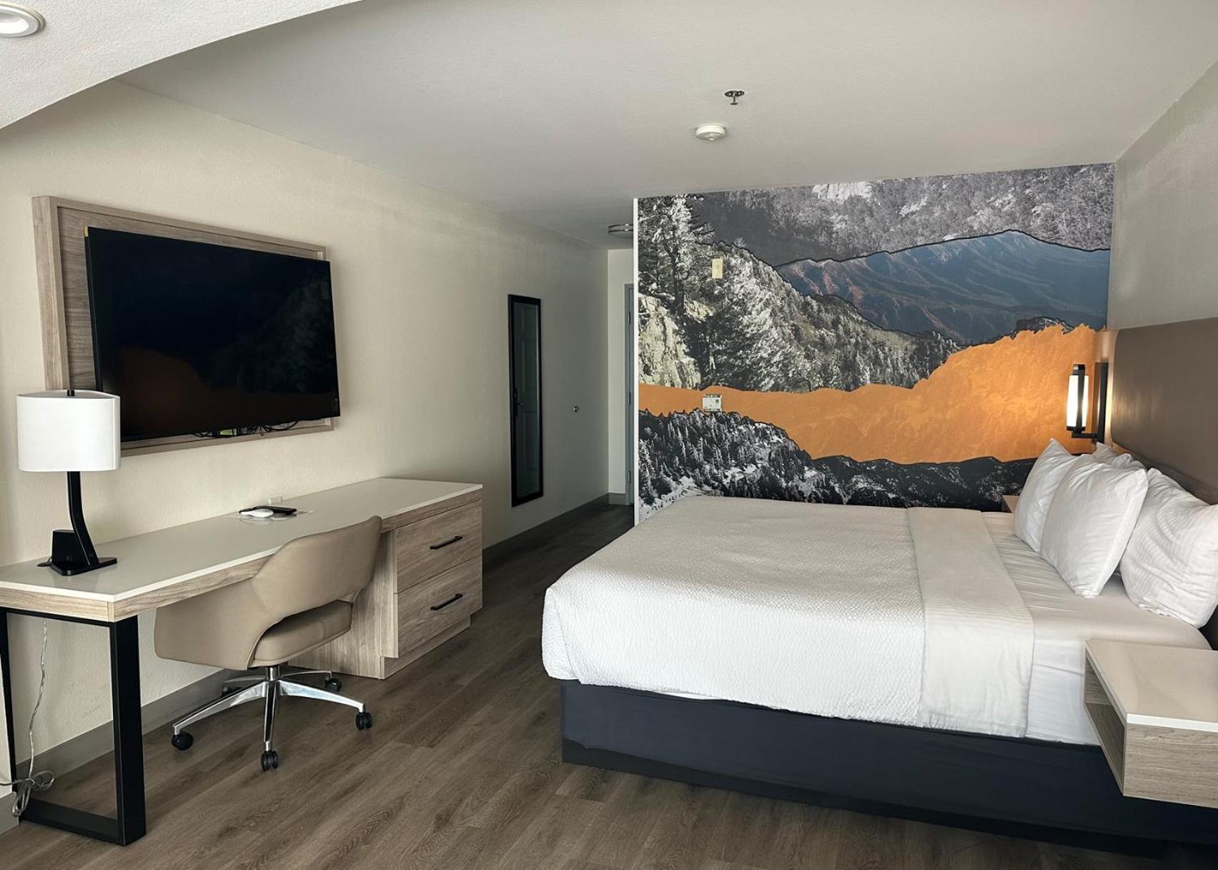 One-Bedroom King Suite - Non-Smoking - Photo 3