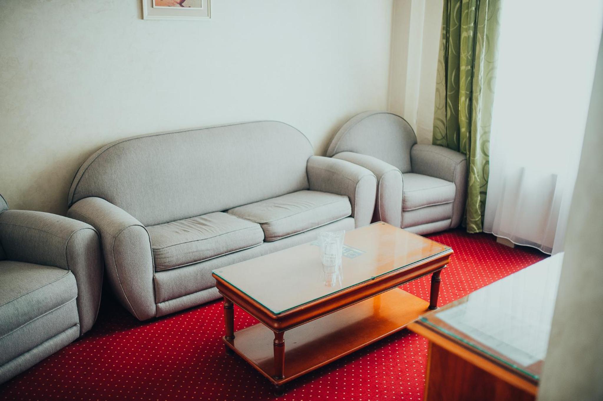 Standard One-Bedroom Suite - Photo 20