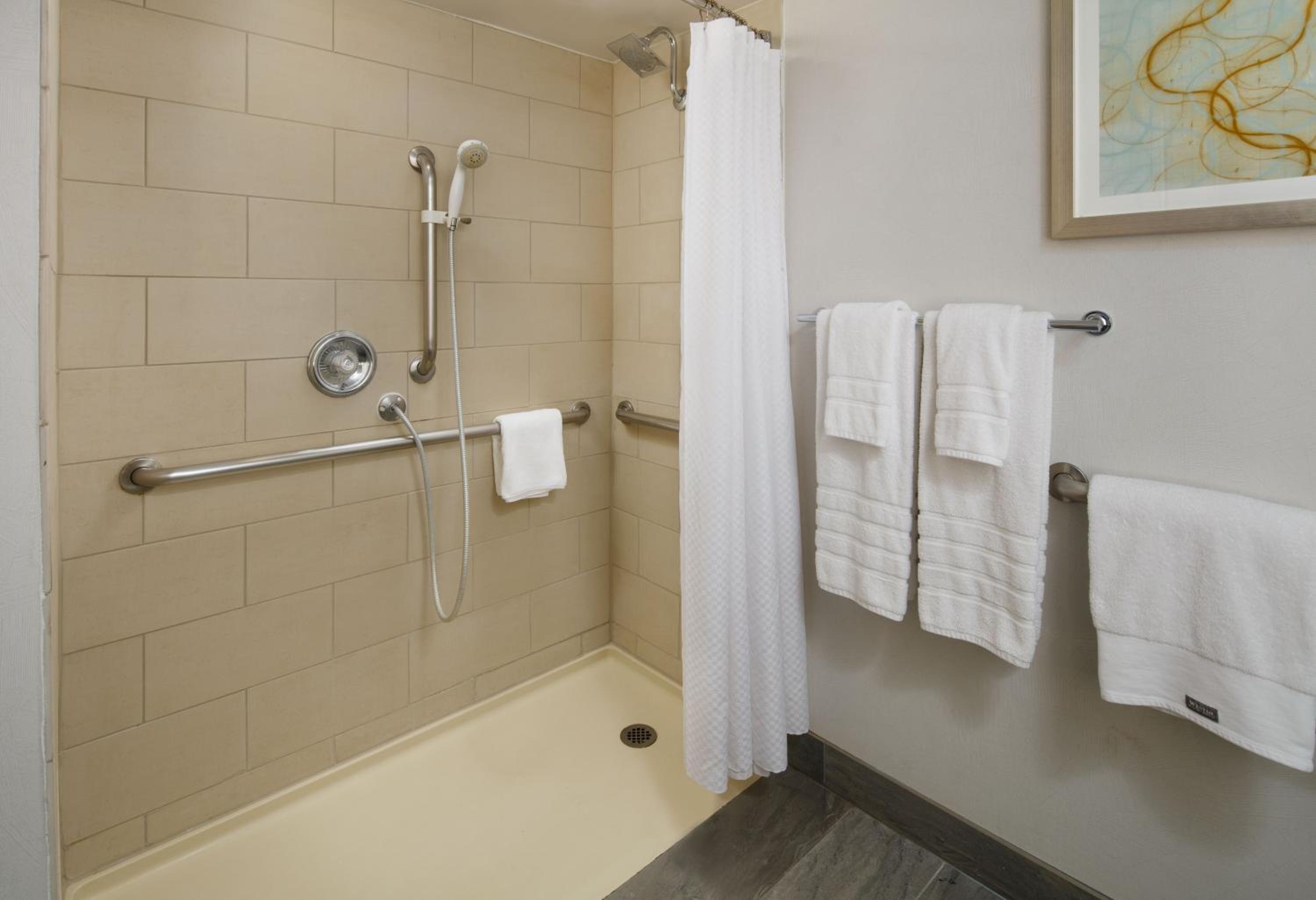 Classic King Room with Transfer Shower - Mobility Accessible photo 3