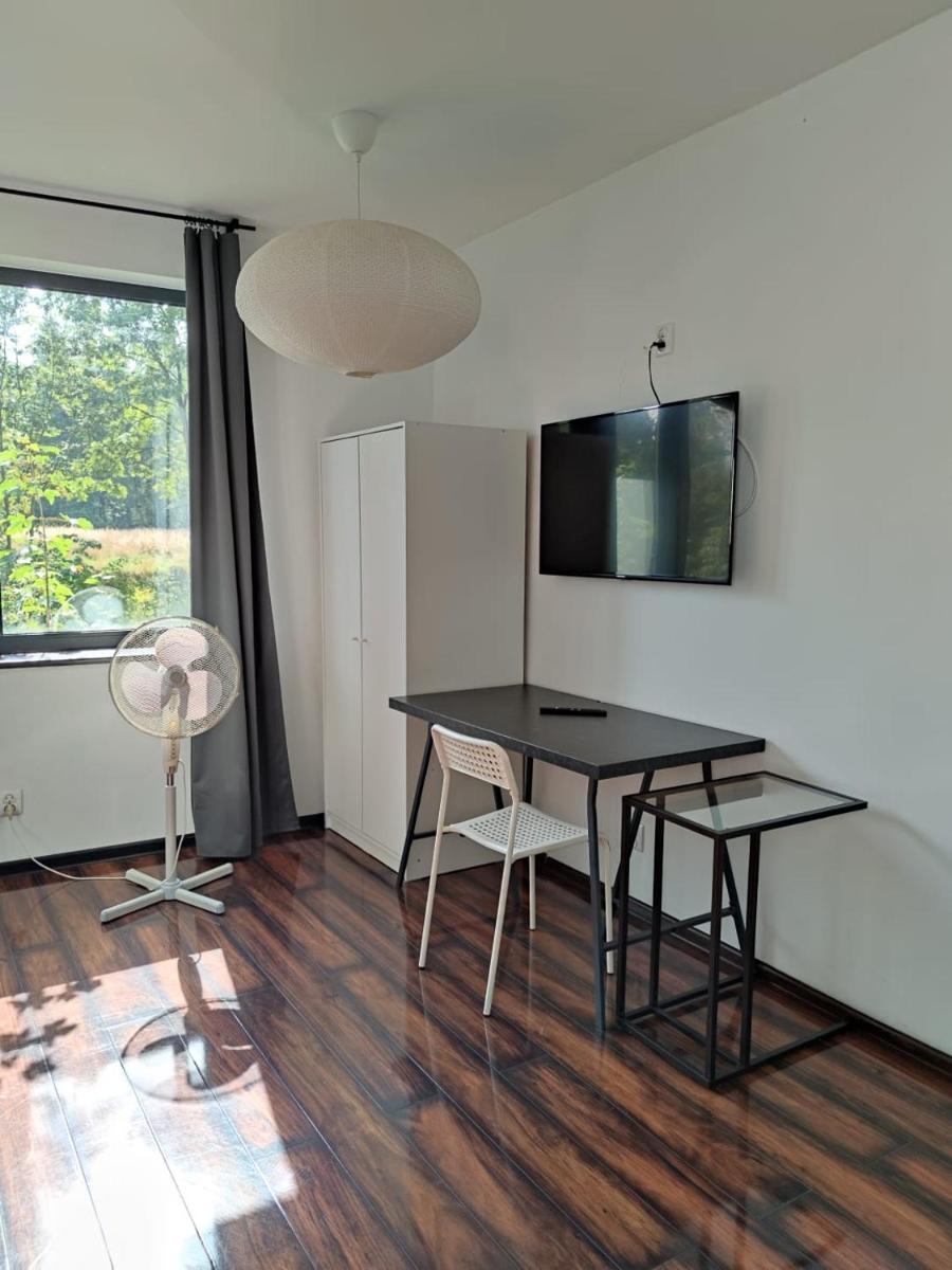 Studio Apartment - Photo 3