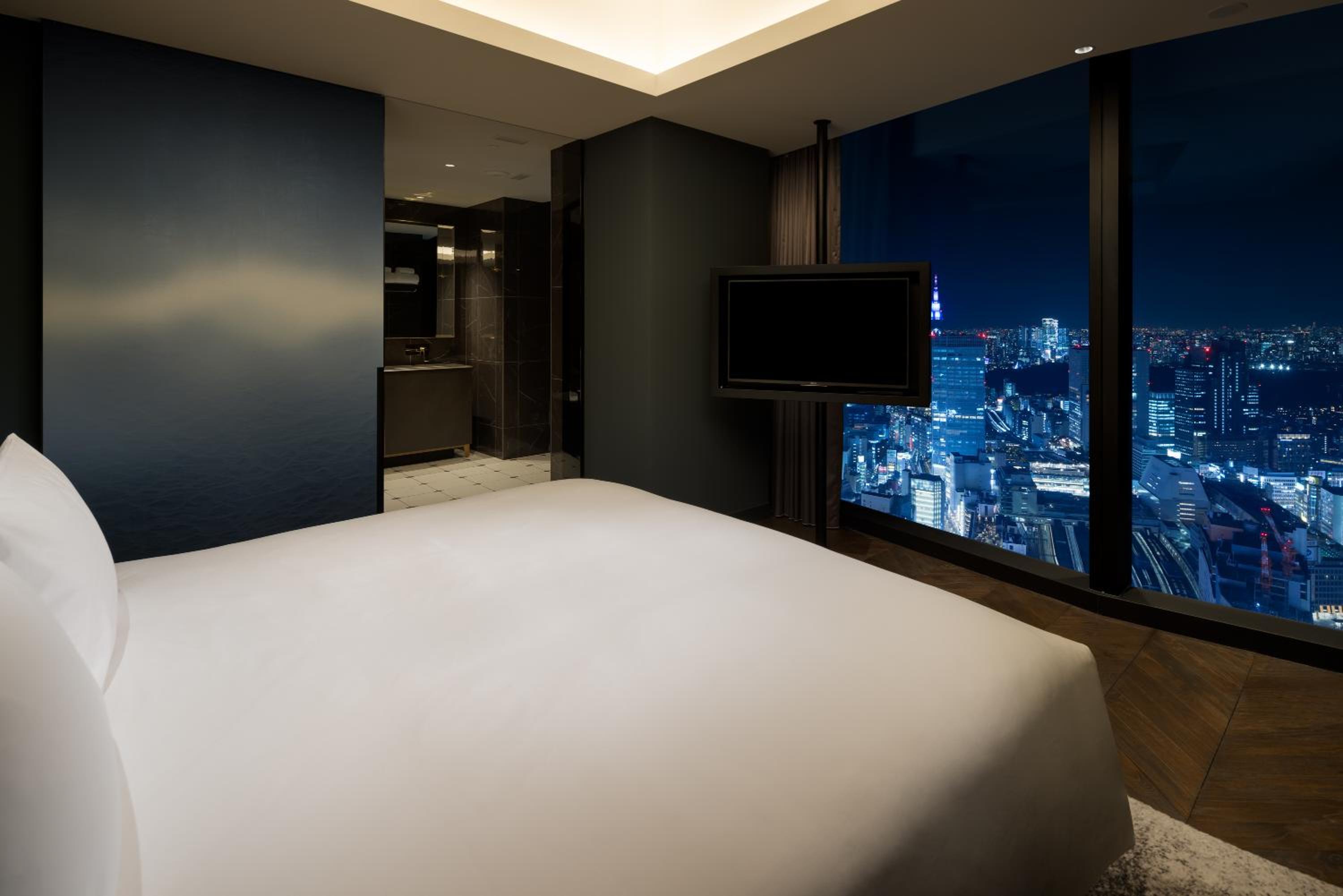 Deluxe Suite photo 1