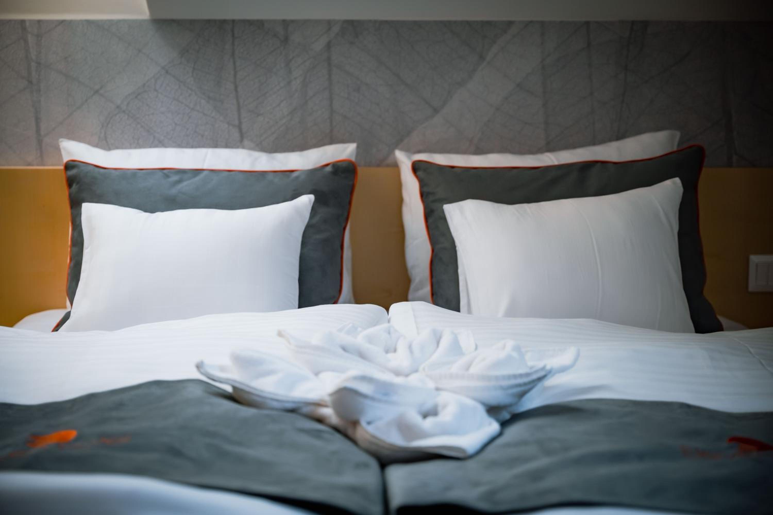 Superior Double or Twin Room - Photo 1
