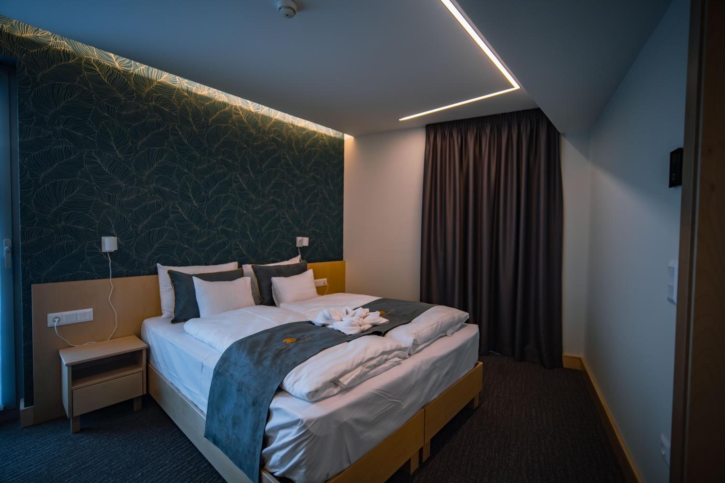 Suite - Photo 1