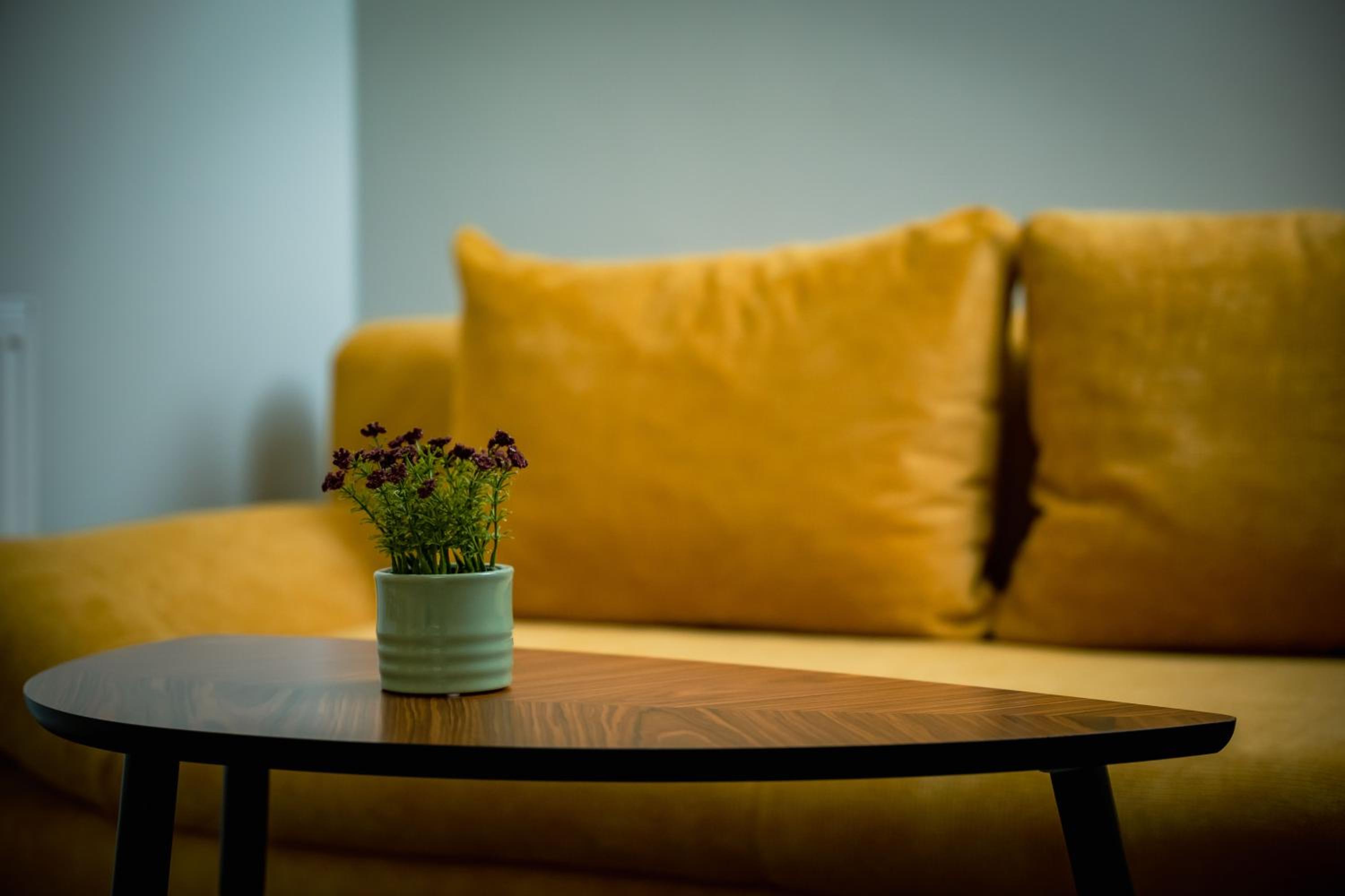 Suite - Photo 2