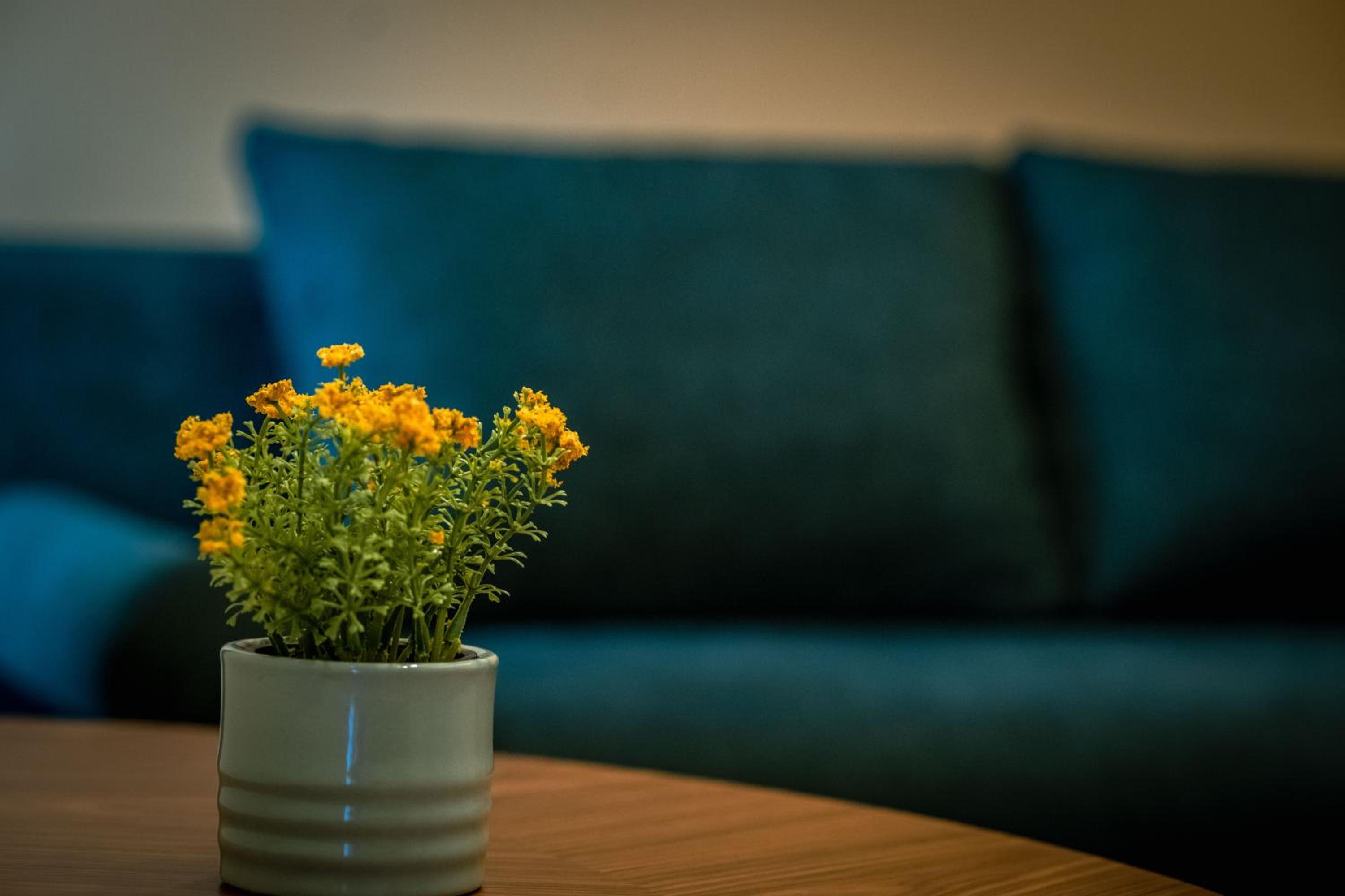 Suite - Photo 12