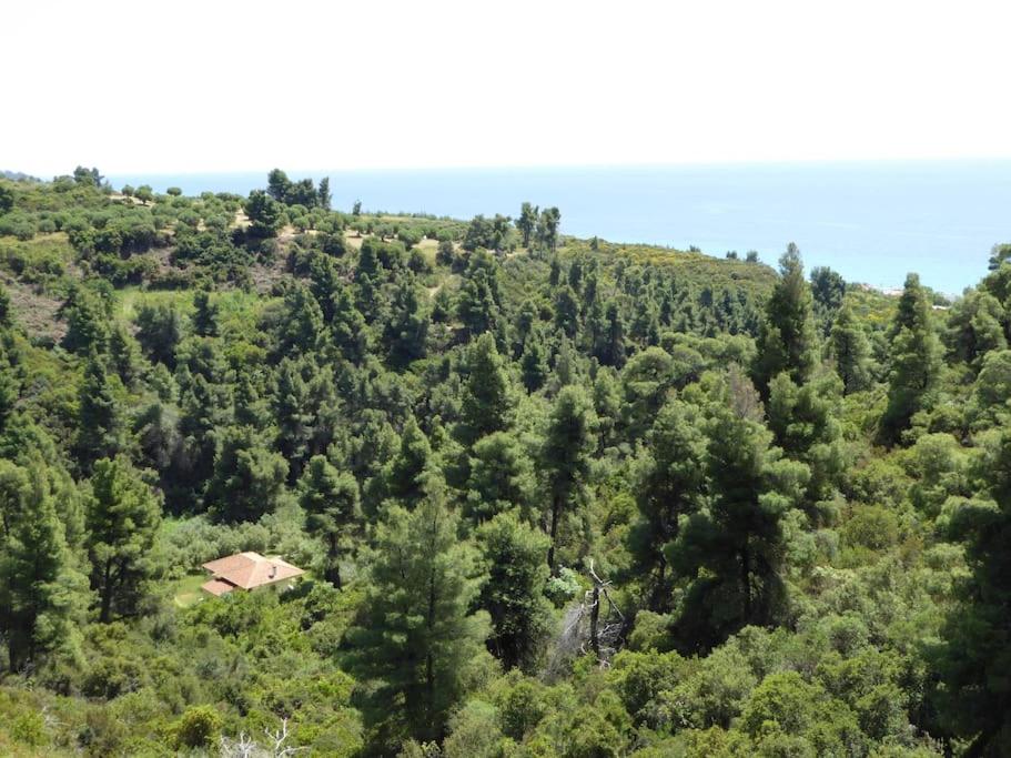 Vacation Home photo 3