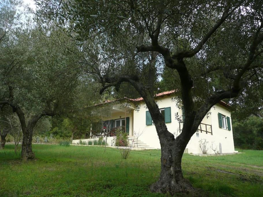 Vacation Home photo 2