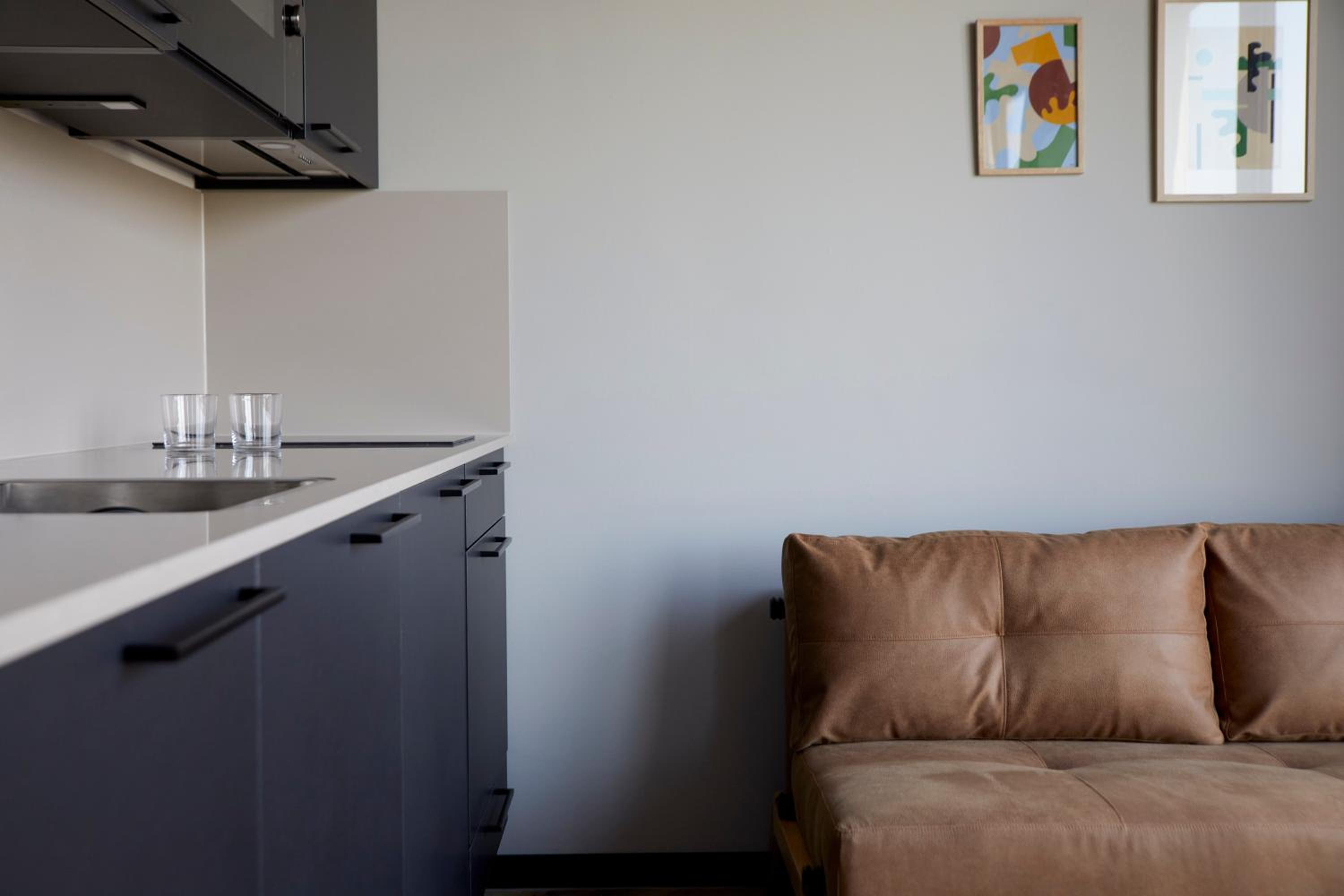 Spacious Studio with Kitchen thumbnail 5