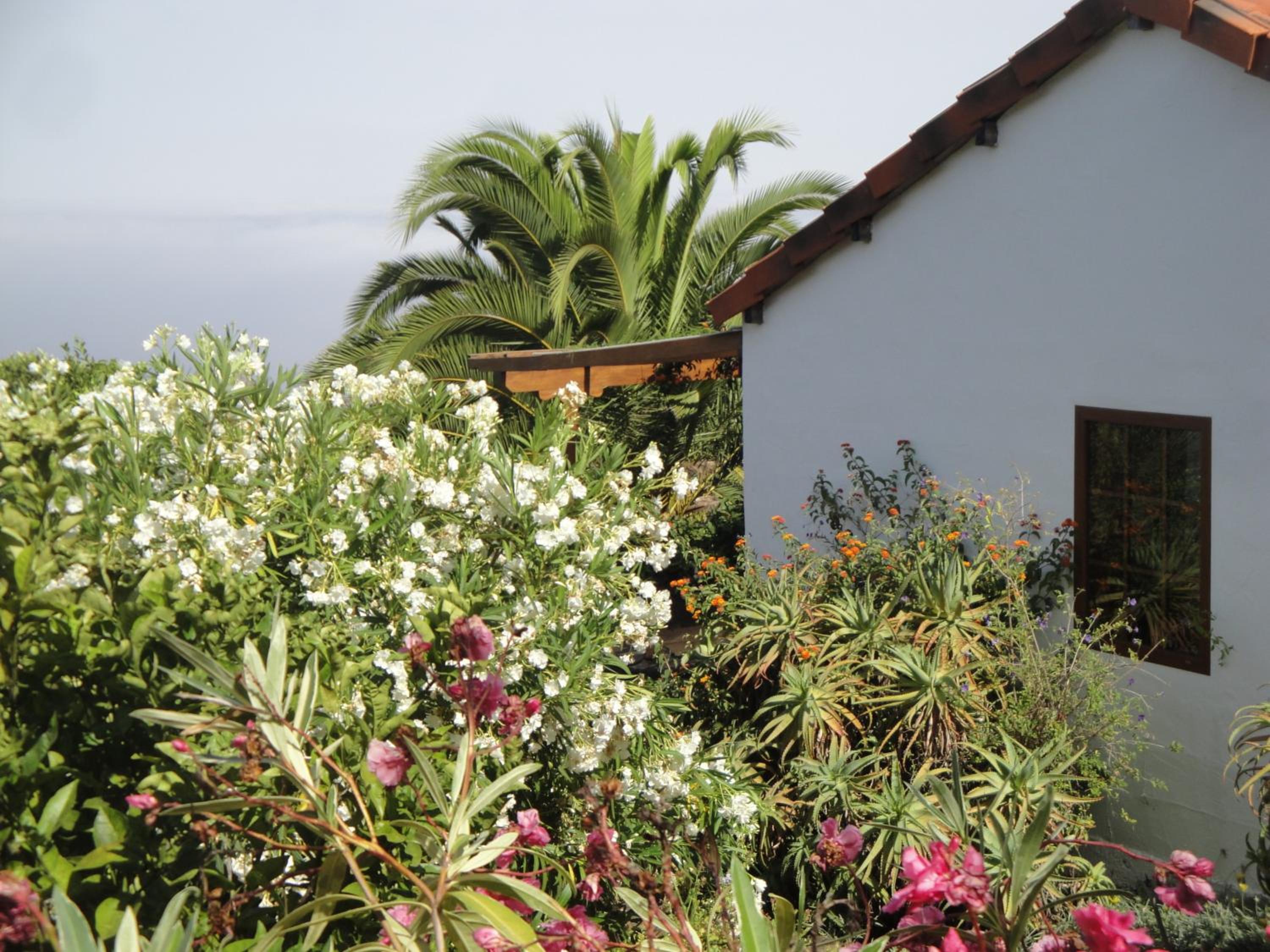 Studio with Ocean View photo 3