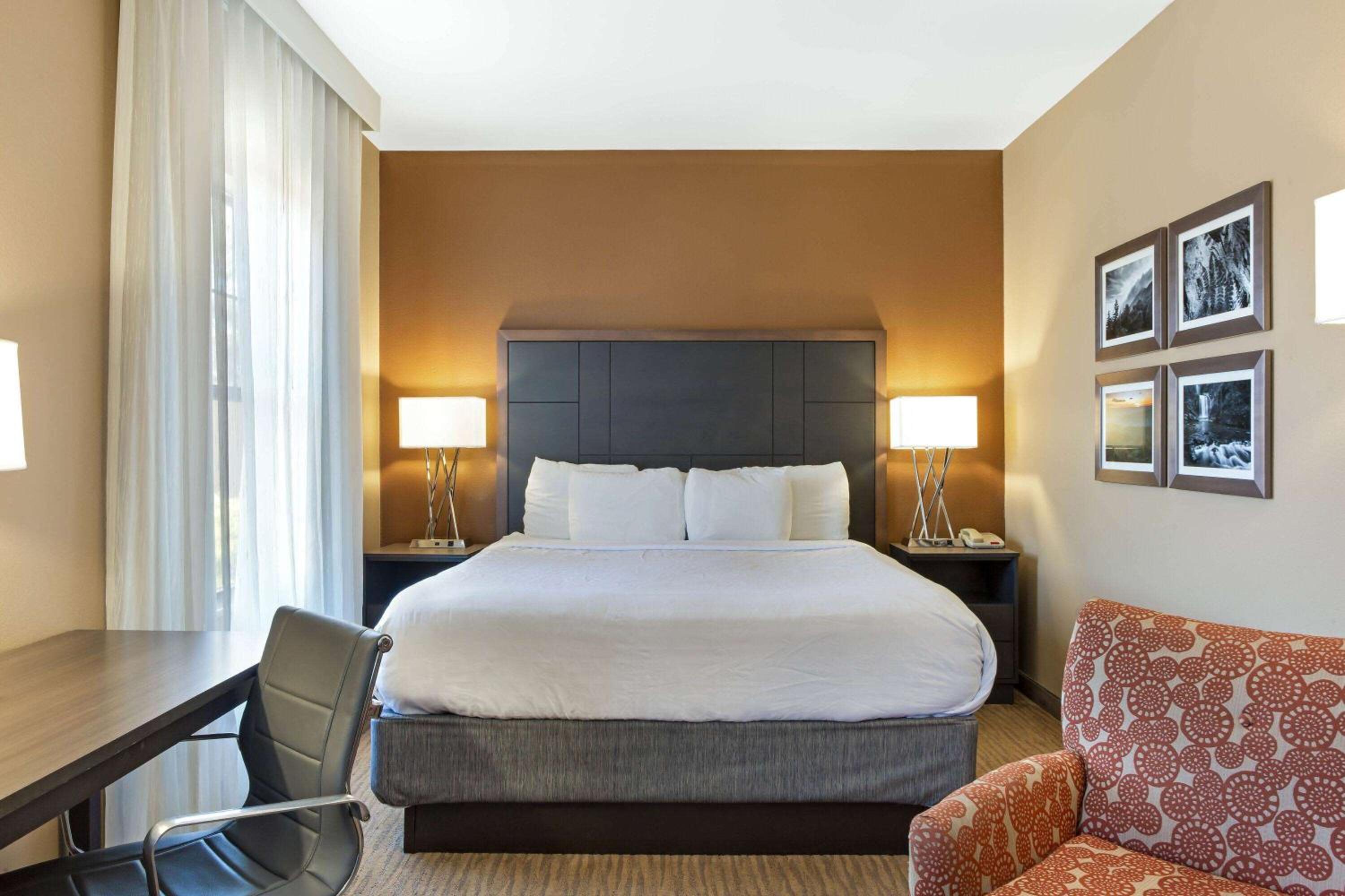 Luxury King Studio Suite - Non-Smoking - Photo 1