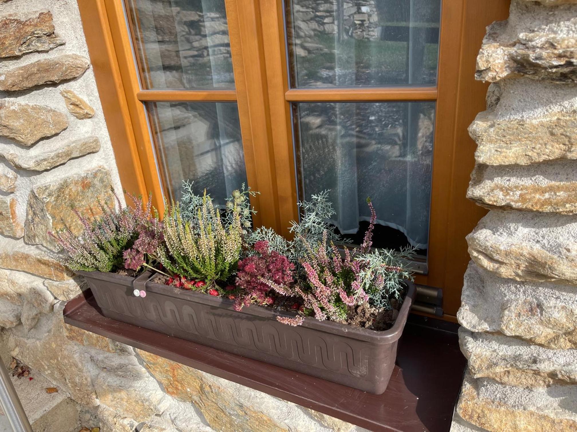 Superior Chalet photo 3