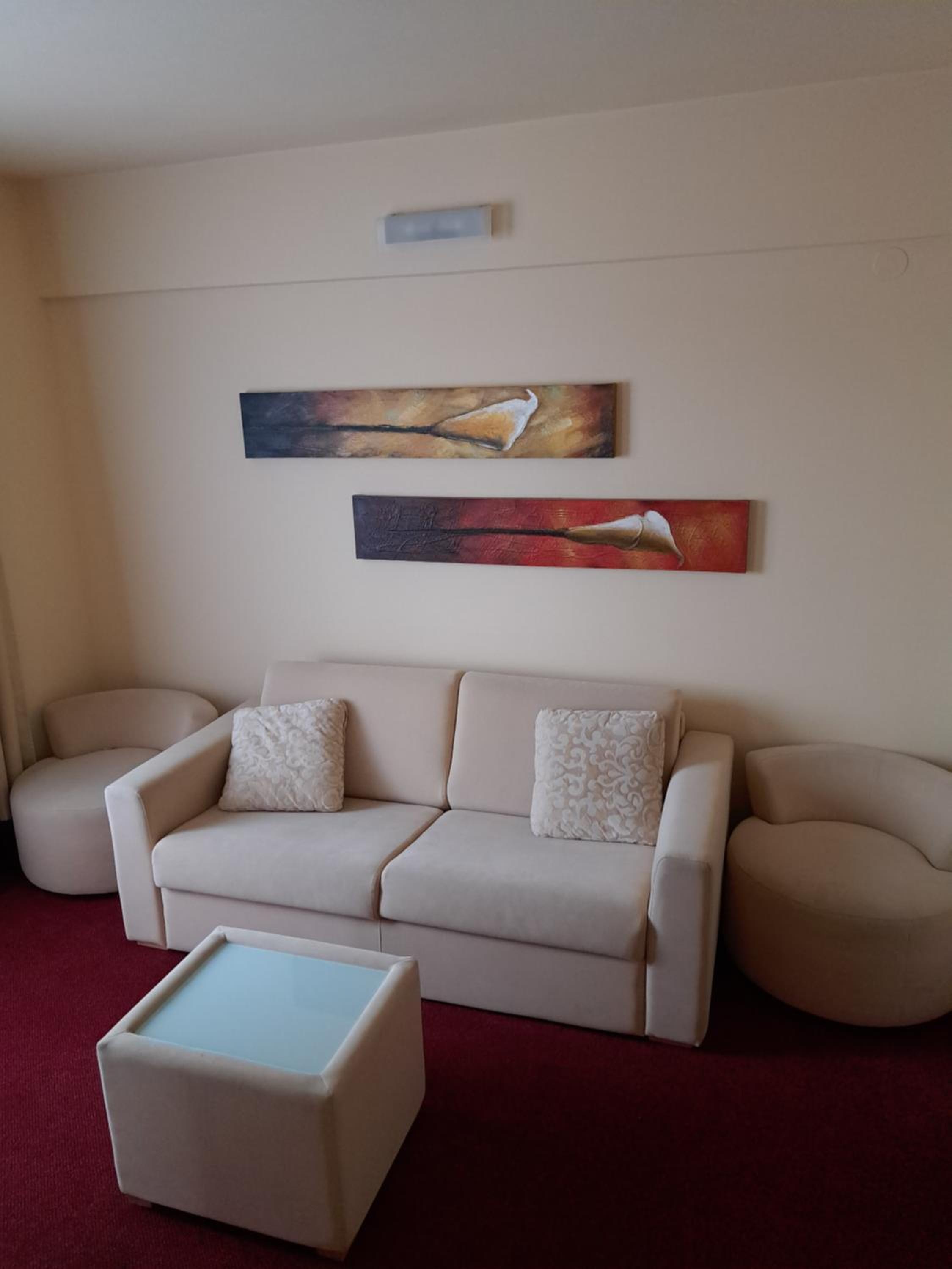 Suite - Photo 7