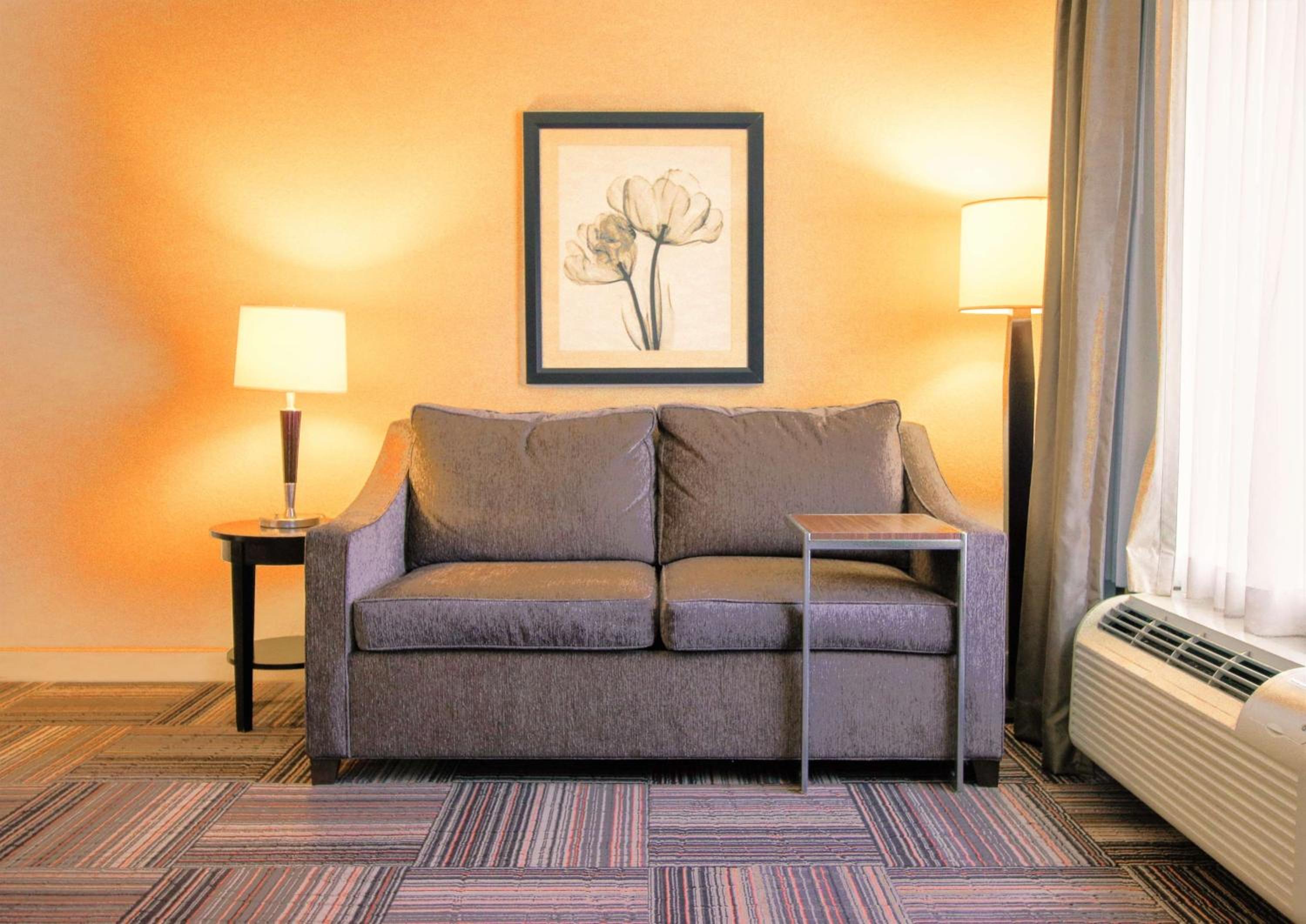 King Studio Suite with Sofa Bed - Non-Smoking - Photo 3