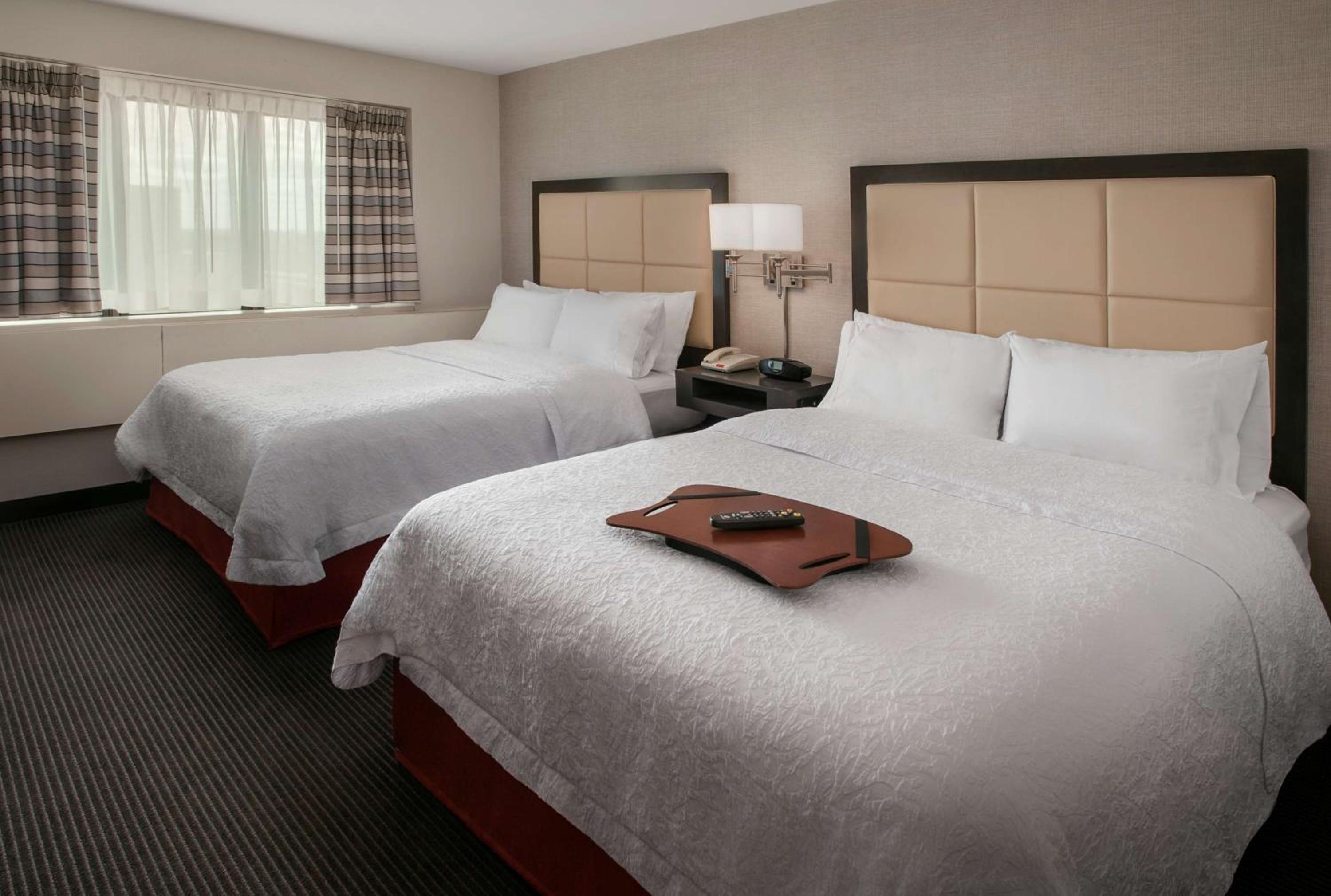 One-Bedroom Double Suite - Non-Smoking photo 1