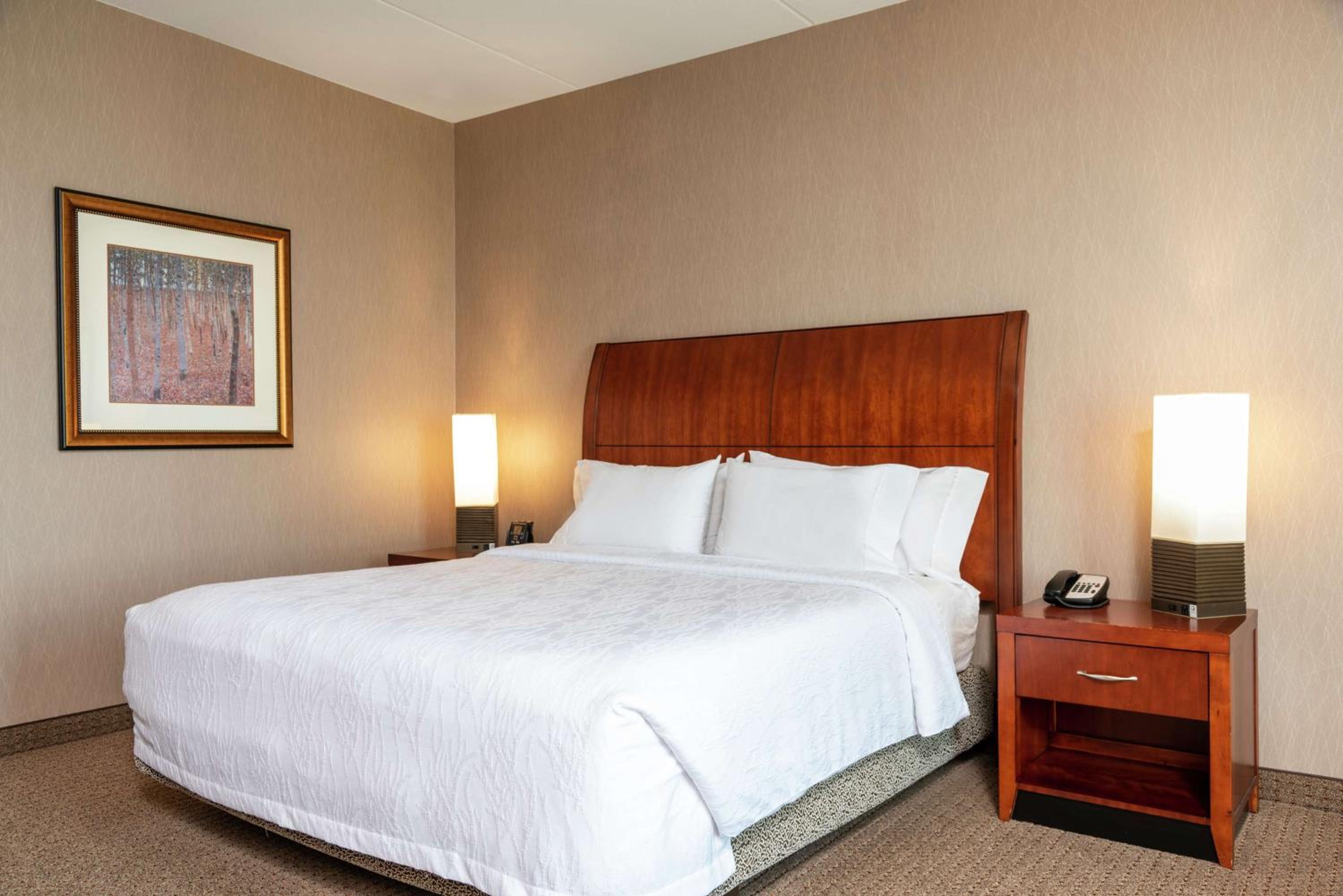 King Room - Photo 1