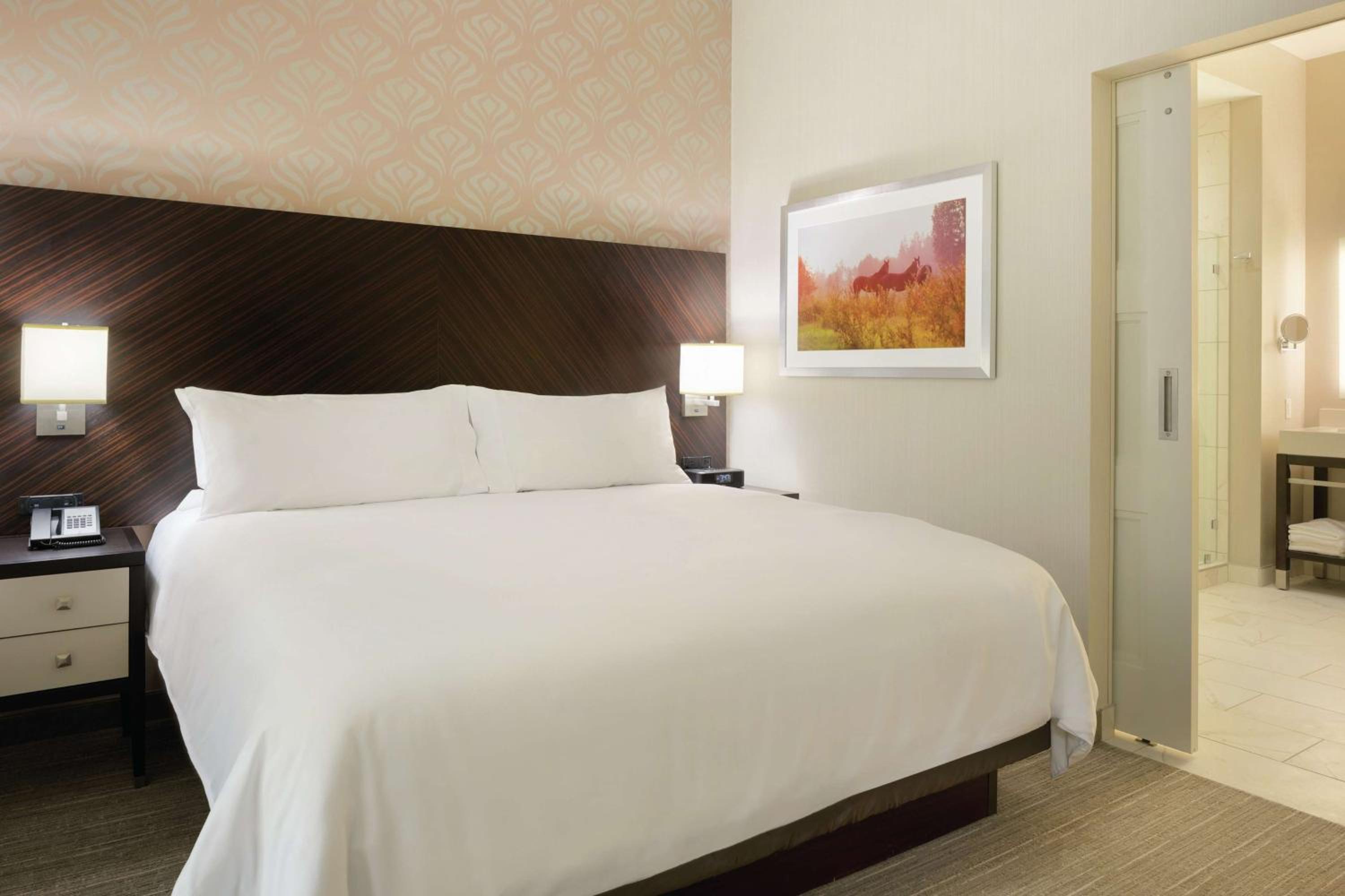 King Suite photo 3
