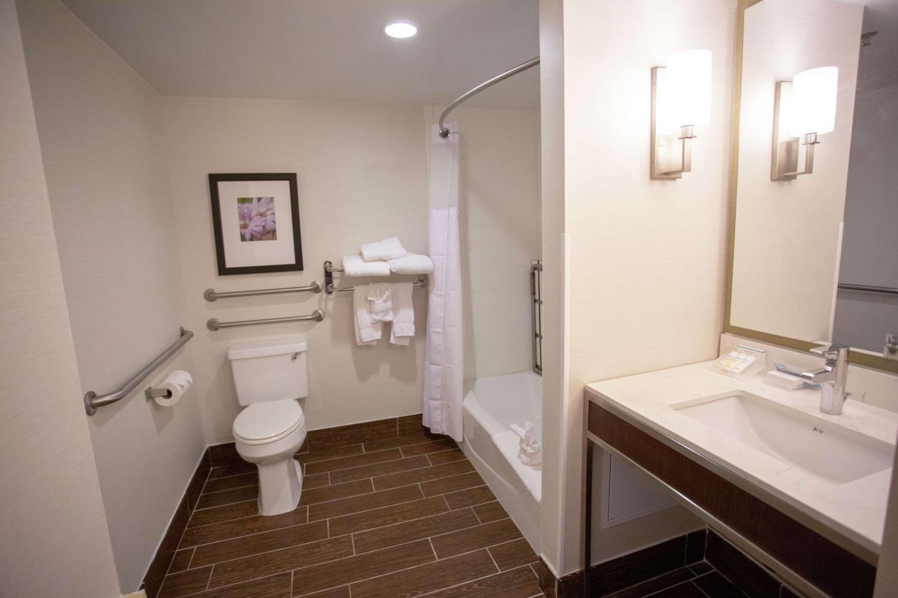 Junior King Suite with Bath Tub - Mobility Access/Non-Smoking - Photo 4