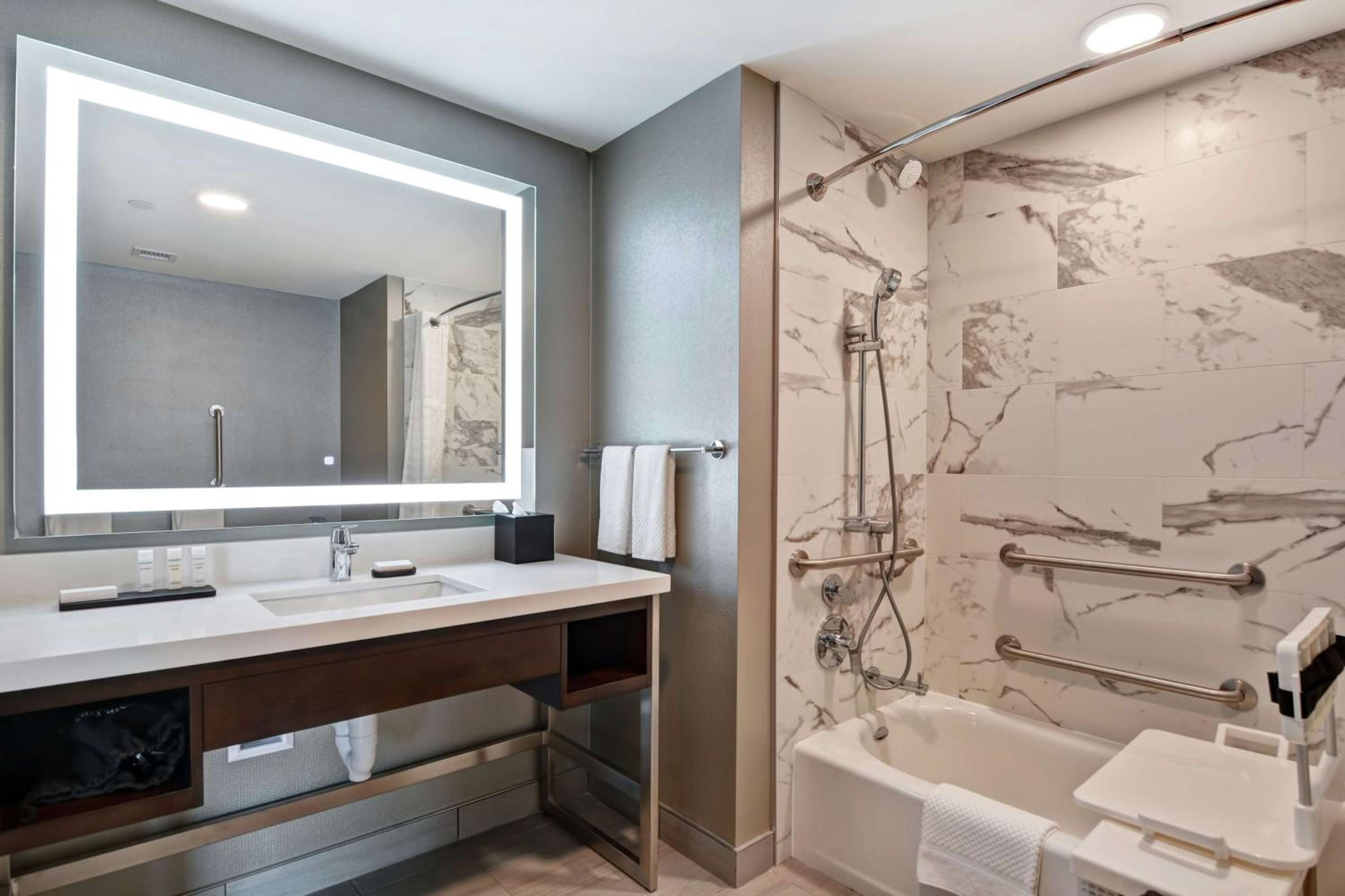 King Studio Suite - Mobility Access - Photo 4