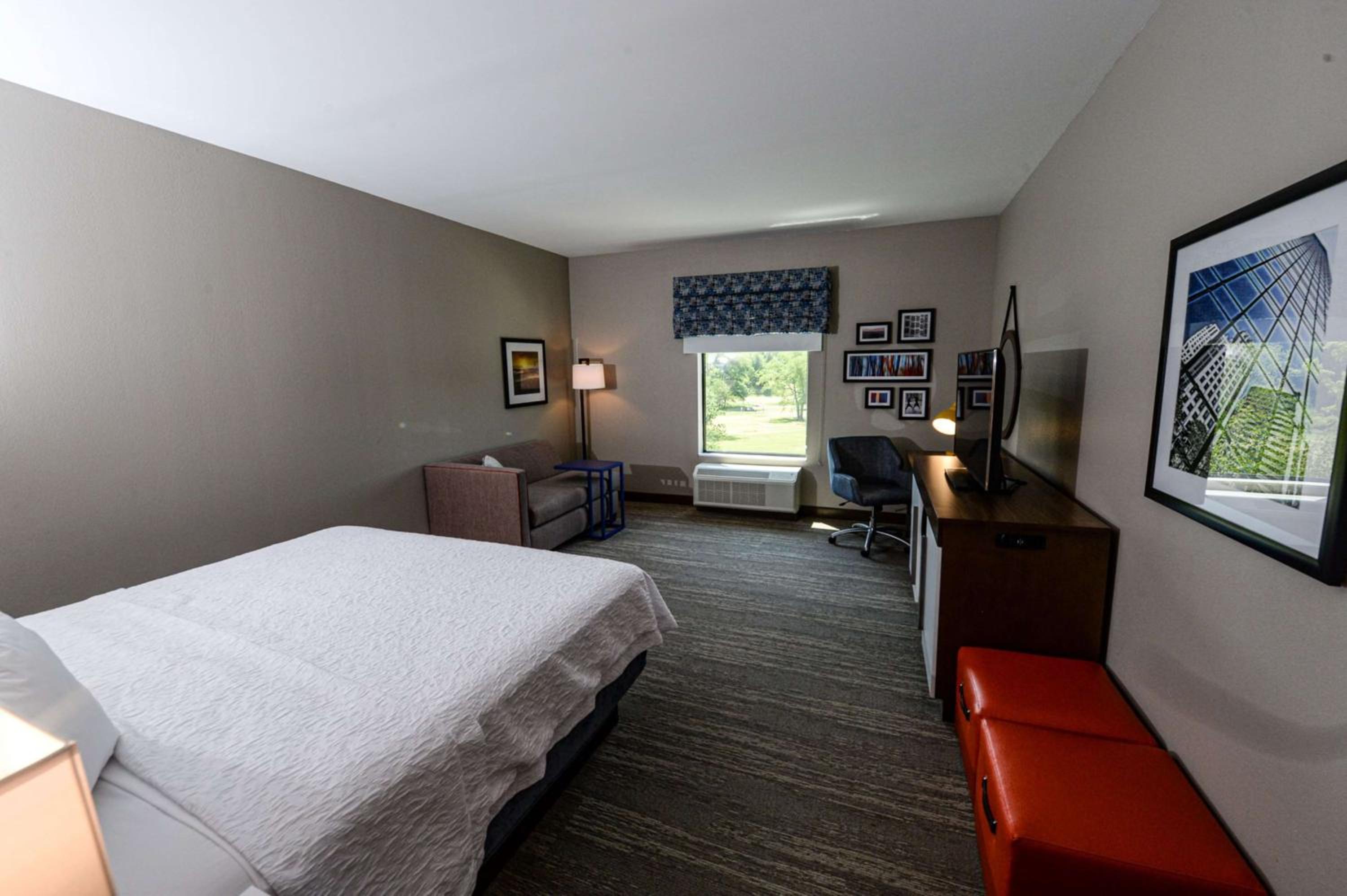 King Room - Photo 7