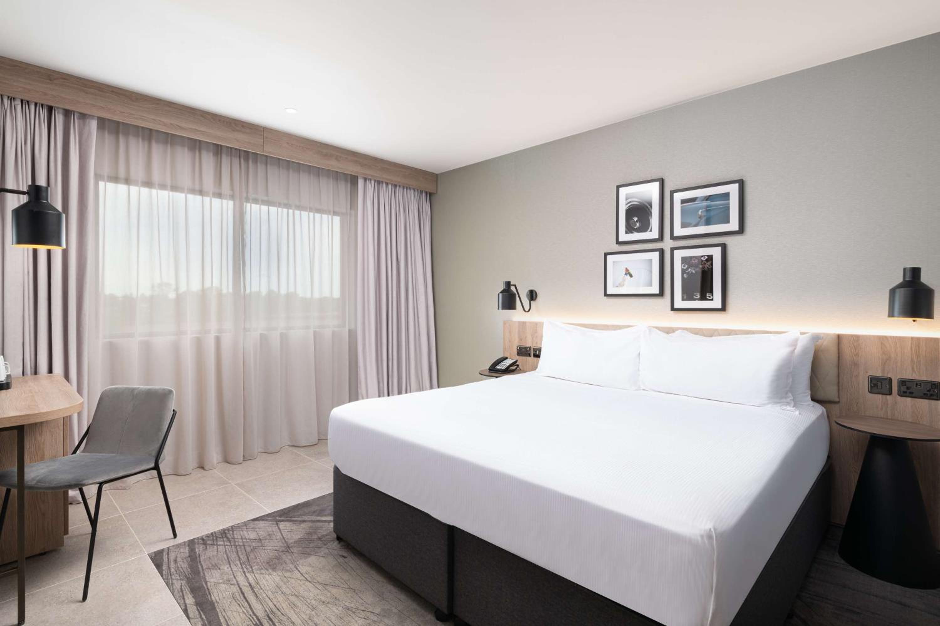 King Room