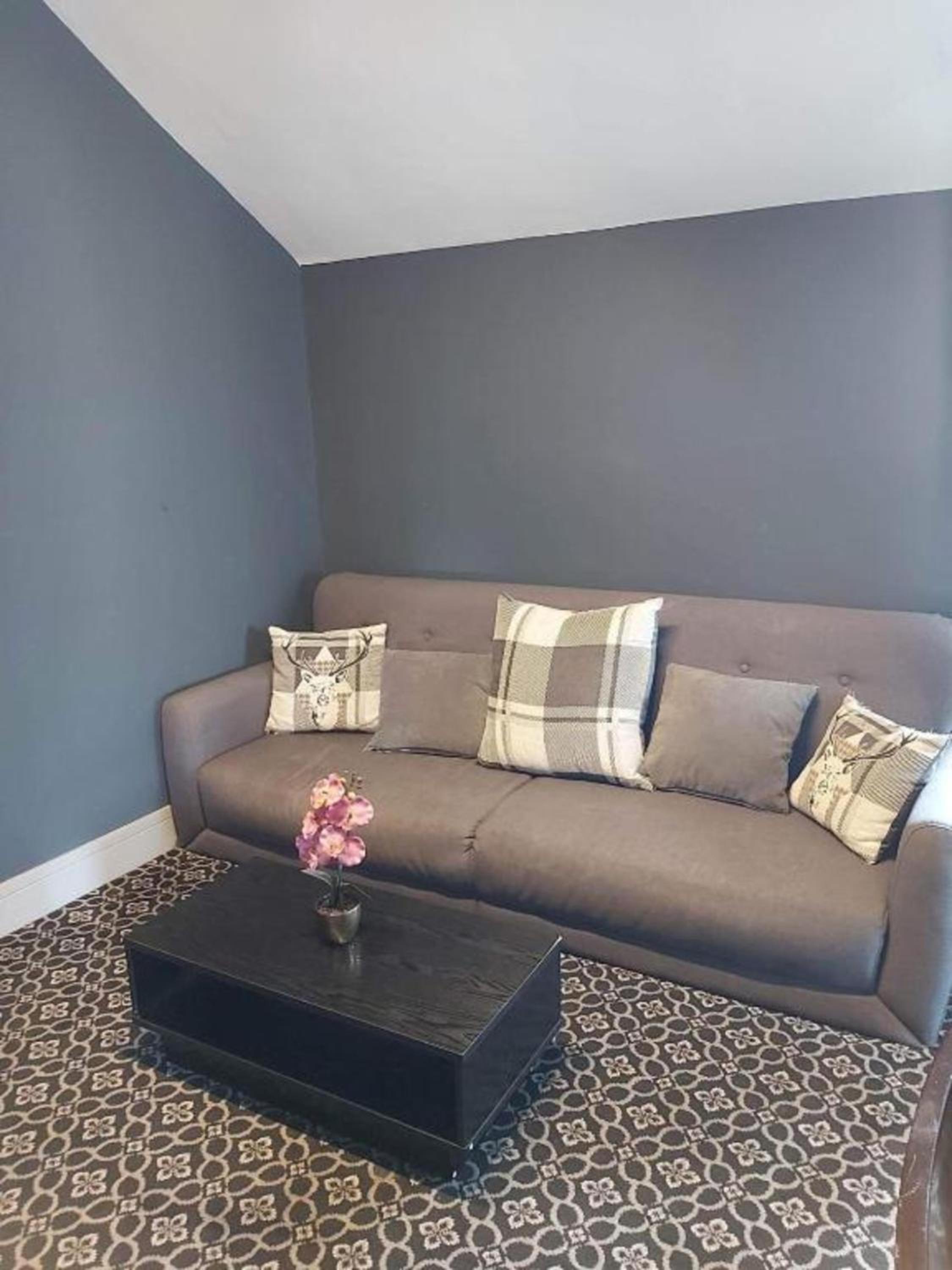 Standard Family Room - Photo 3