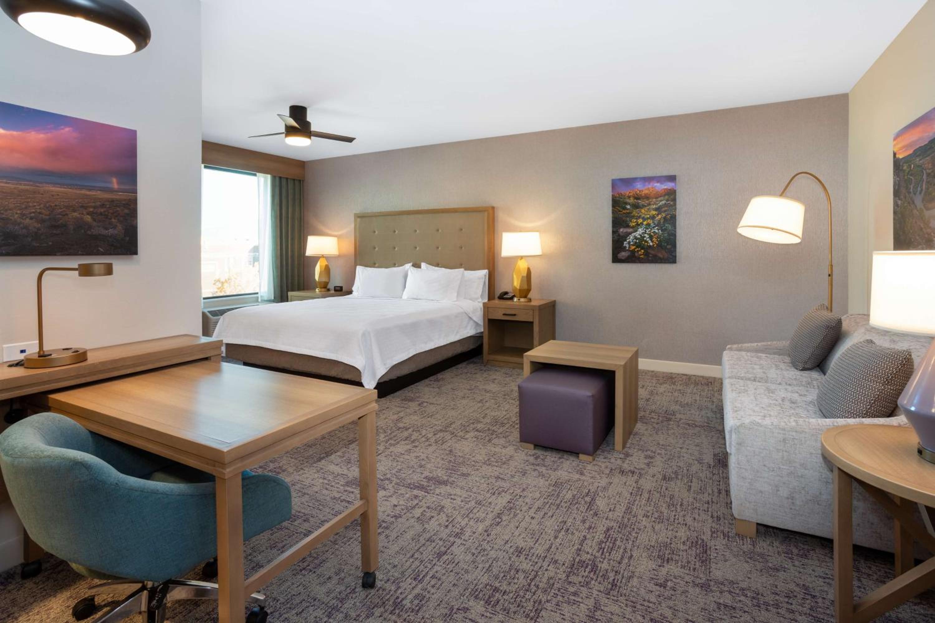 King Studio Suite - Photo 1