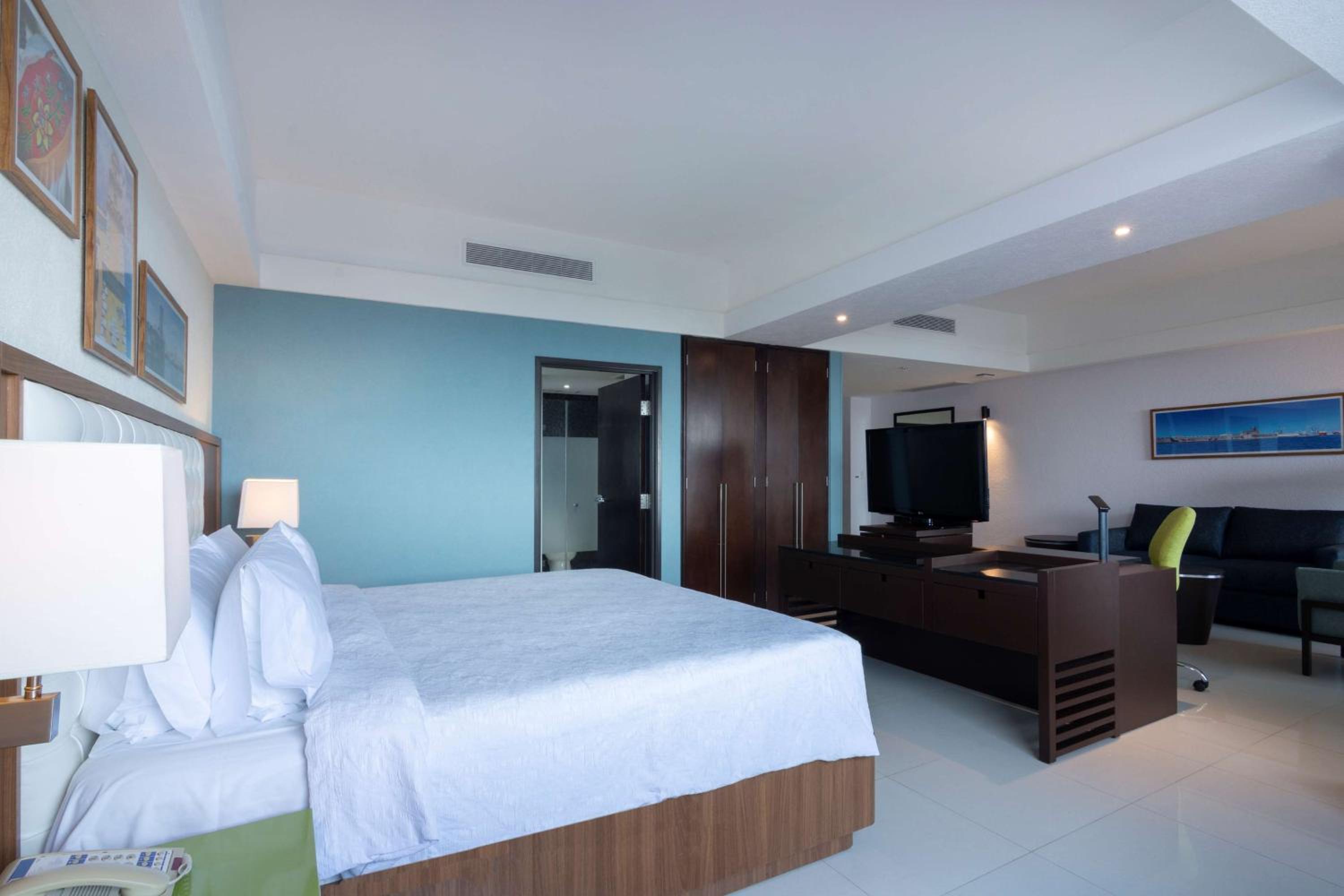 King Studio Suite - Photo 11
