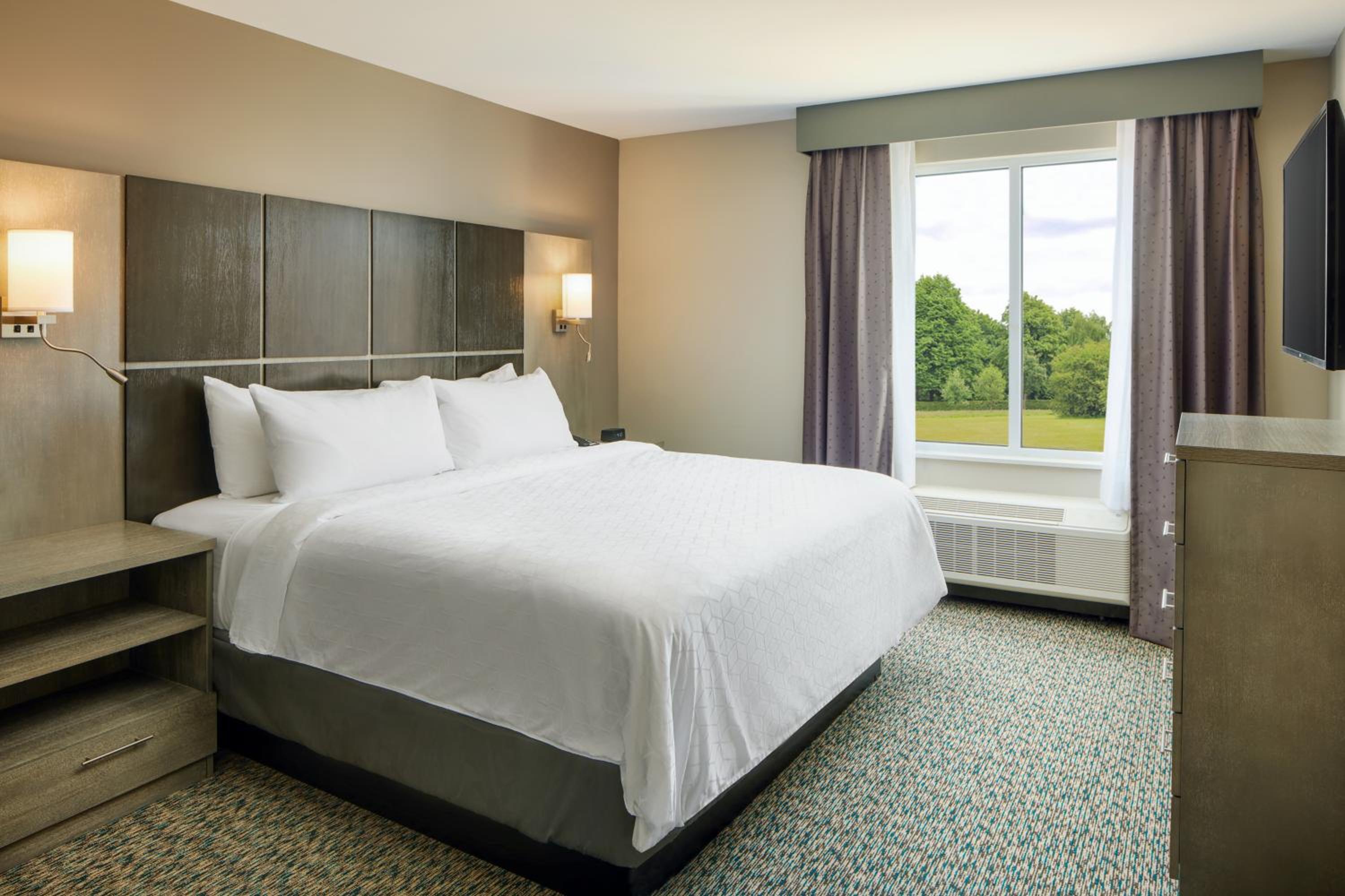 One-Bedroom King Suite - Photo 4
