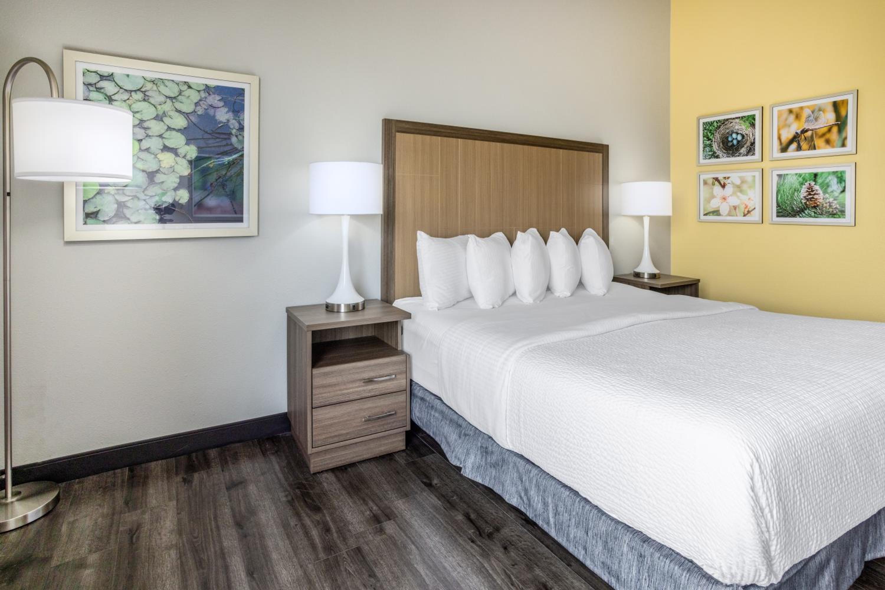 King Room with Mobility/Hearing Access and Roll-In Shower - Non-Smoking - Photo 6