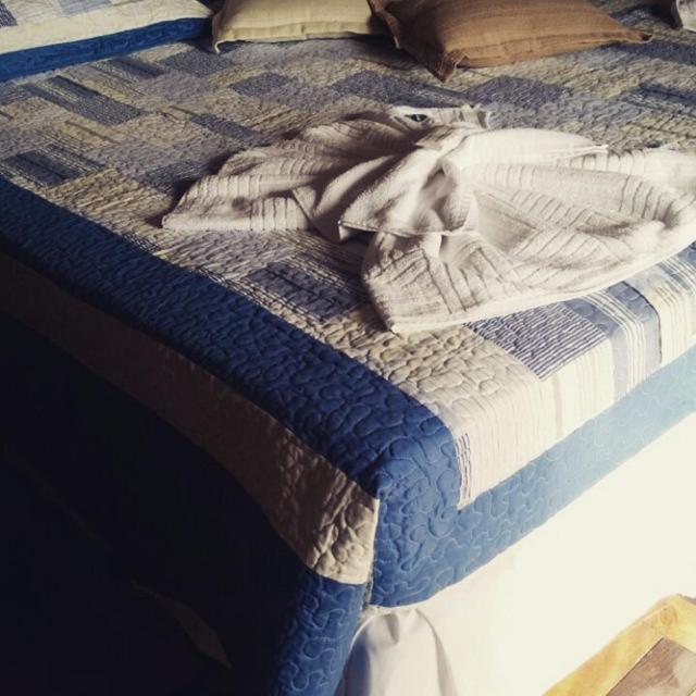 Standard Suite