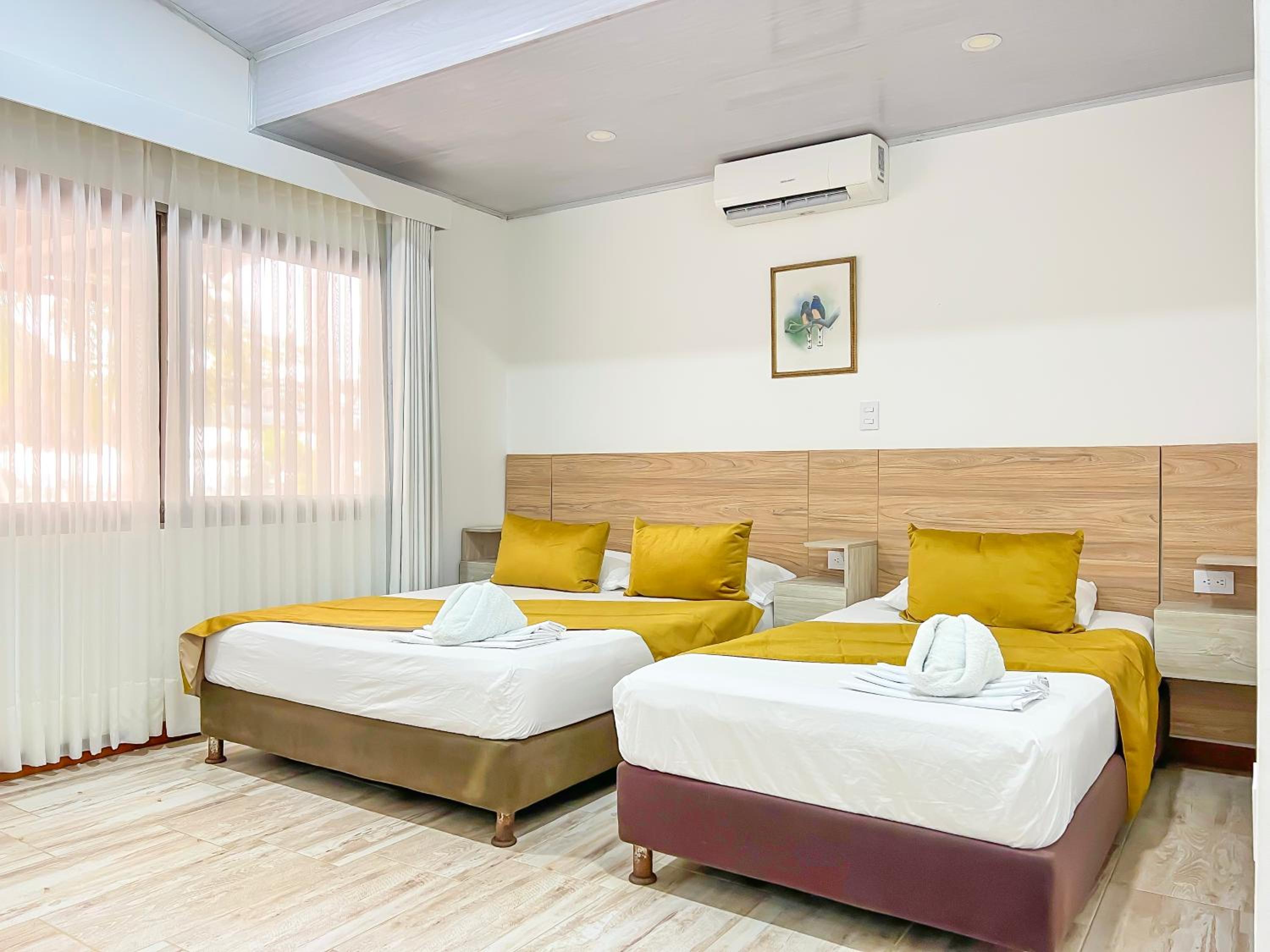 Superior Double or Twin Room photo 3