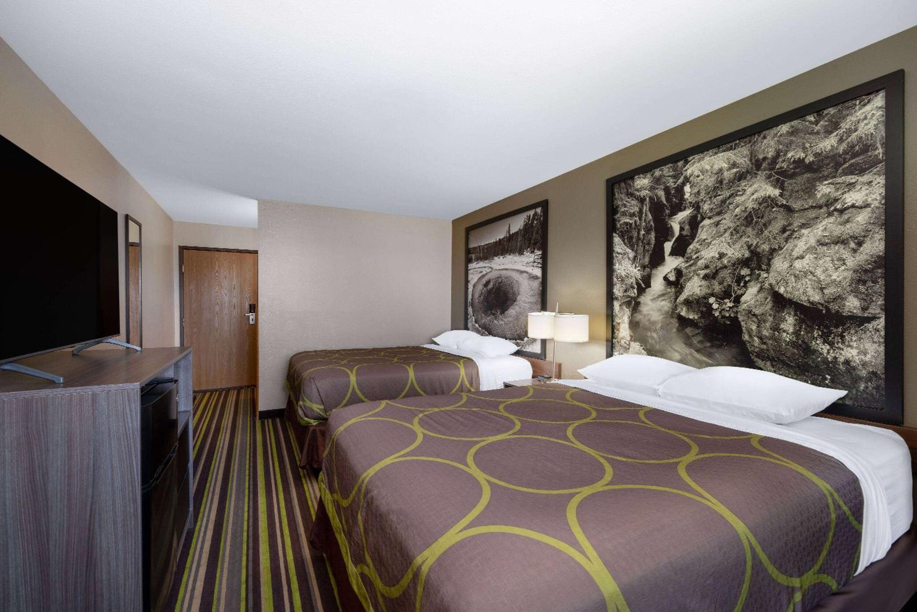Queen Room with Two Queen Beds, Sofa Bed and Kitchenette (Ground Floor) - Non-Smoking - Photo 1