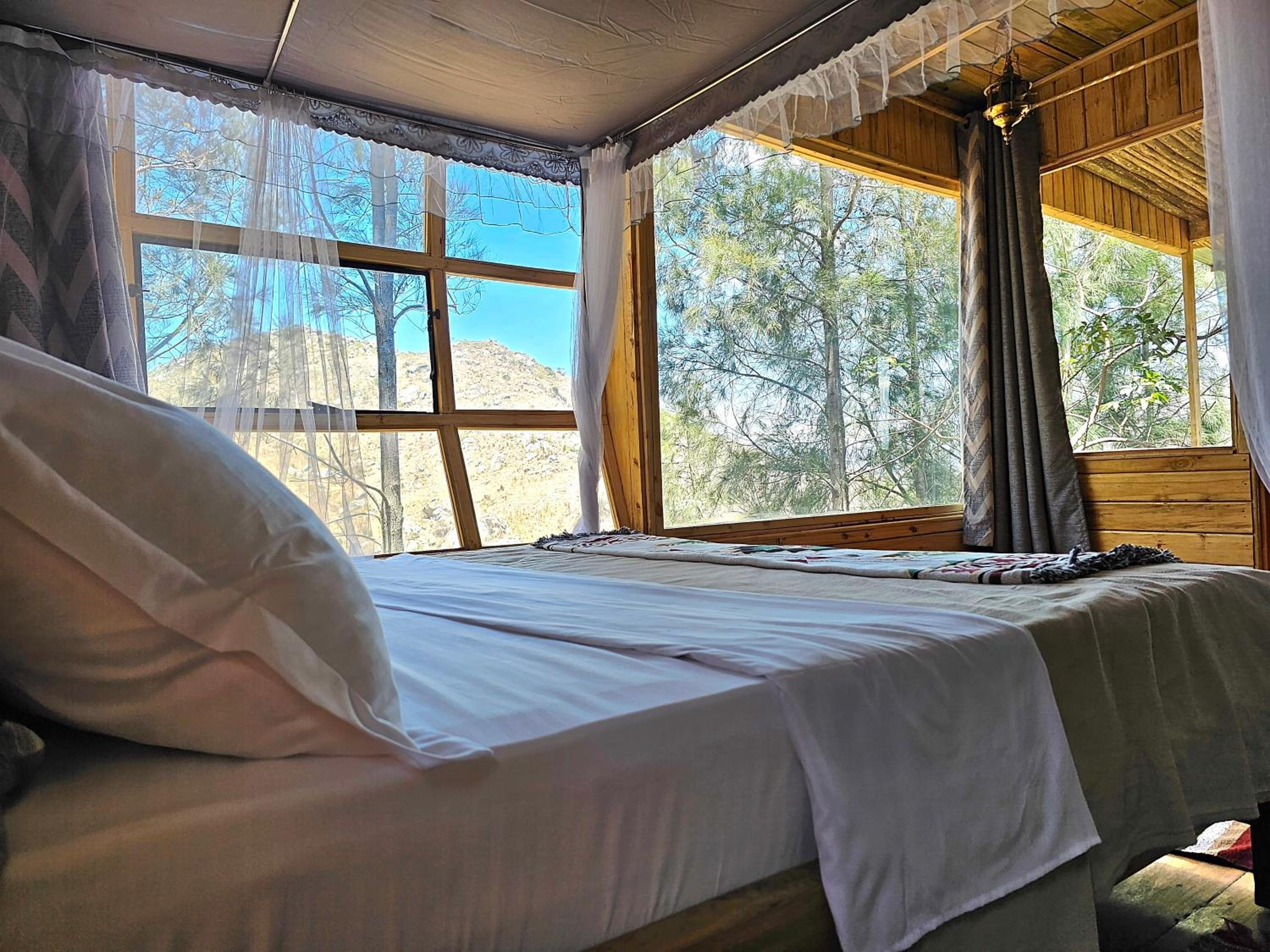 Suite With Mountain View photo 1