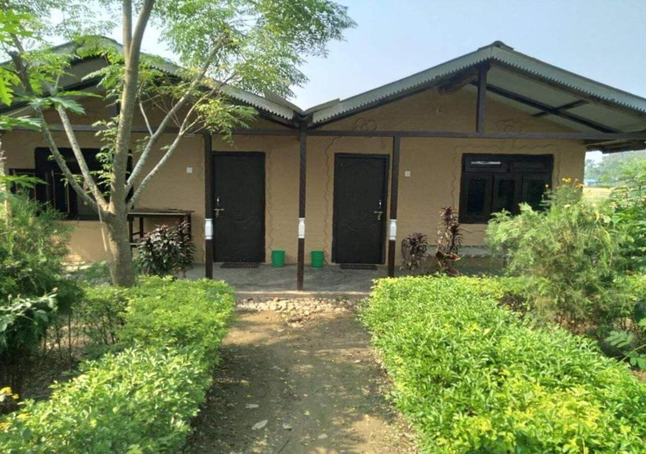 Double Room With Garden View photo 1
