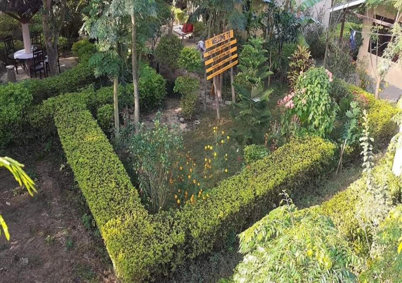 Double Room With Garden View photo 3