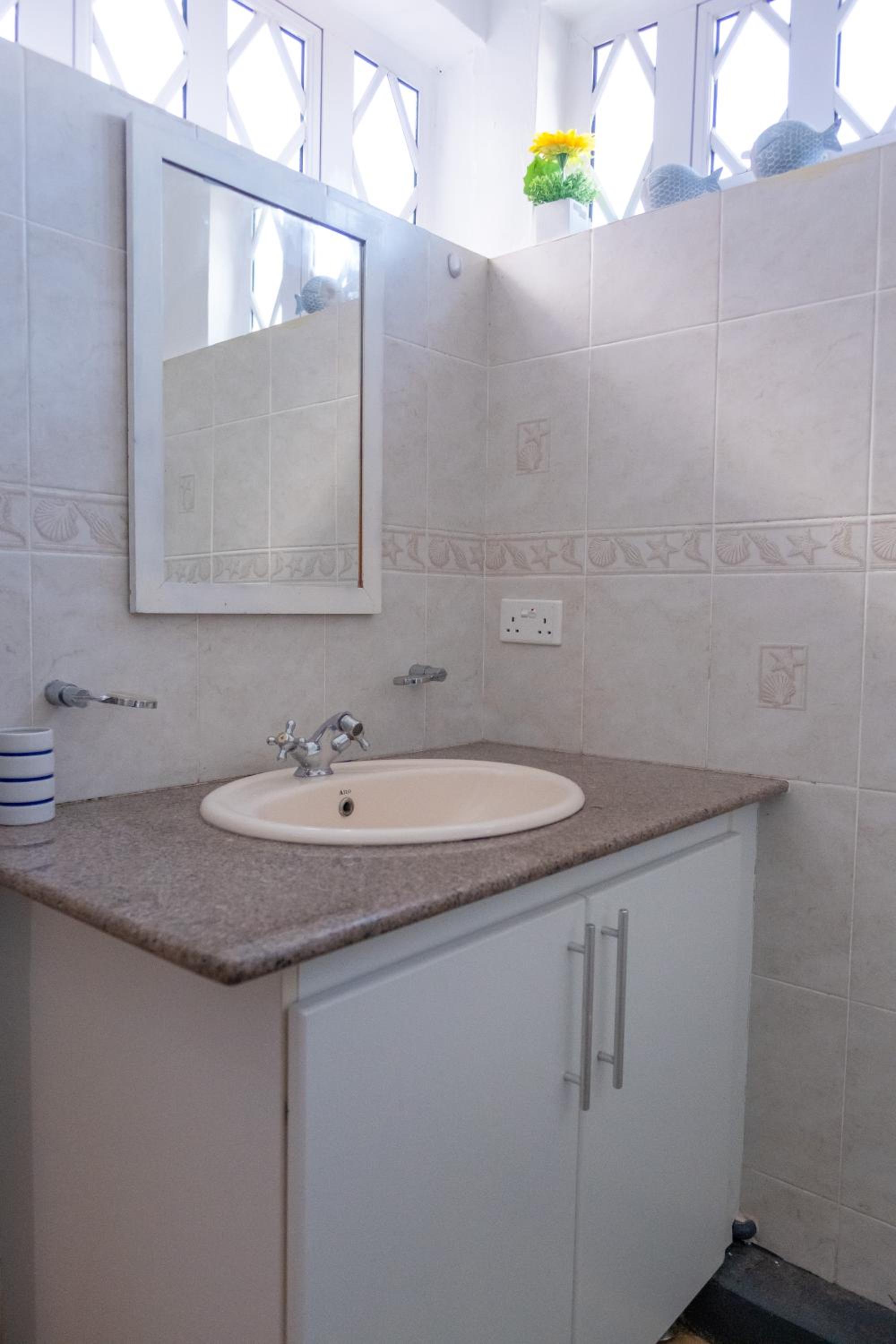 Apartment with Terrace photo 2