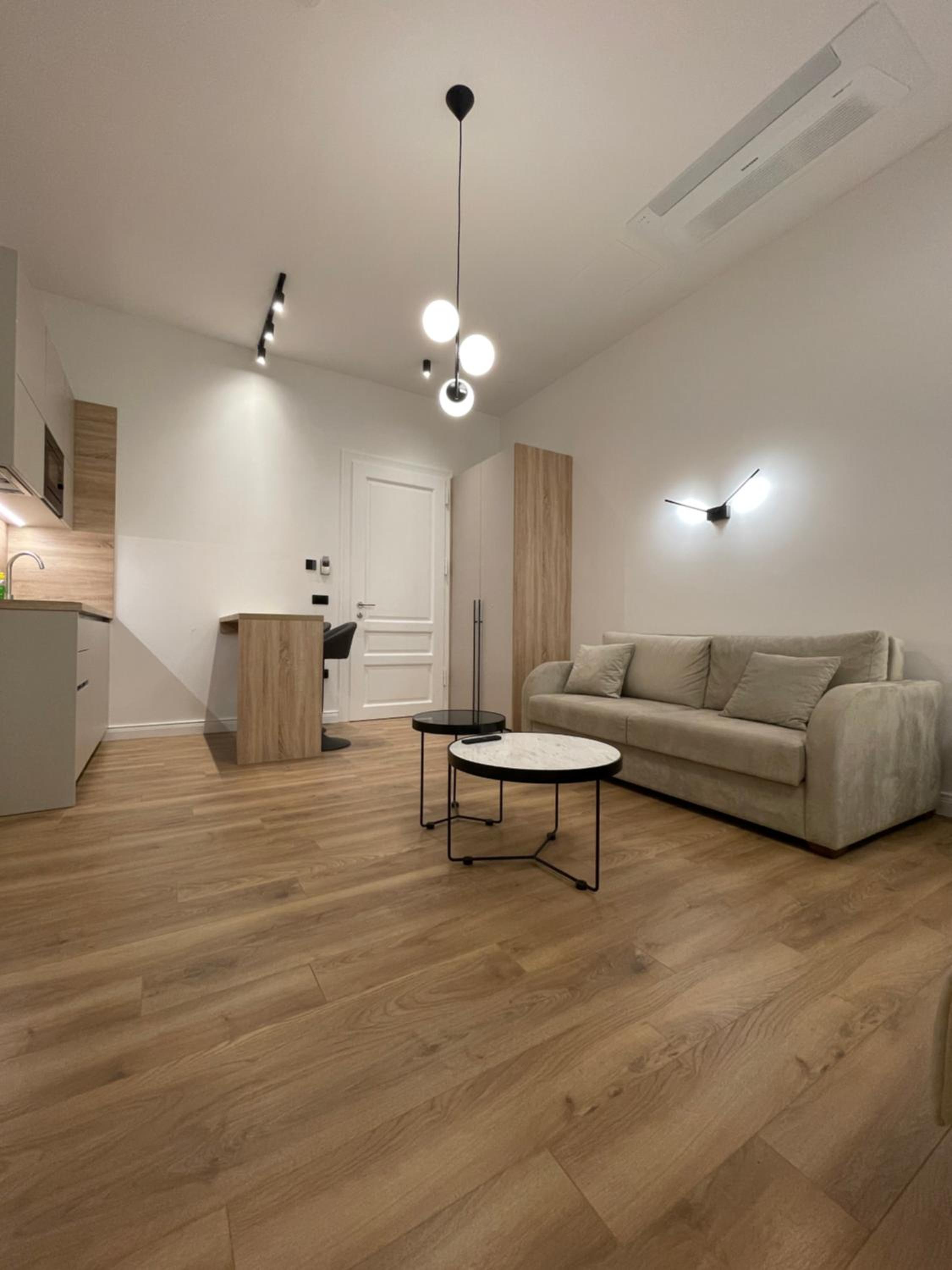Deluxe Studio photo 1