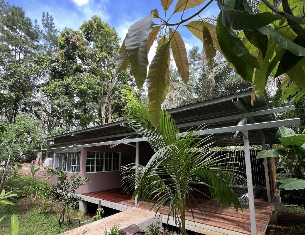 Deluxe Bungalow with Garden View photo 1