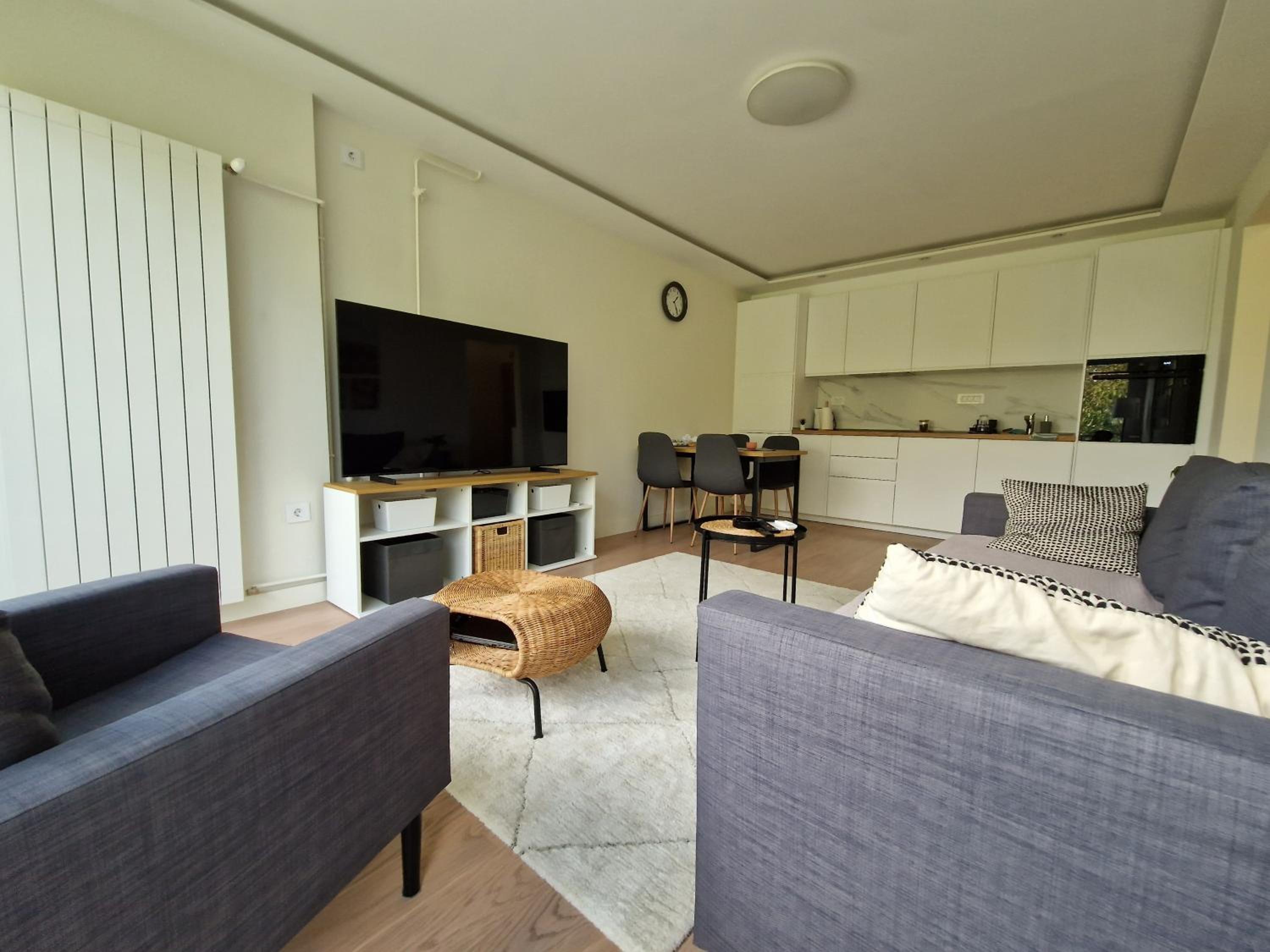 One-Bedroom Apartment photo 2