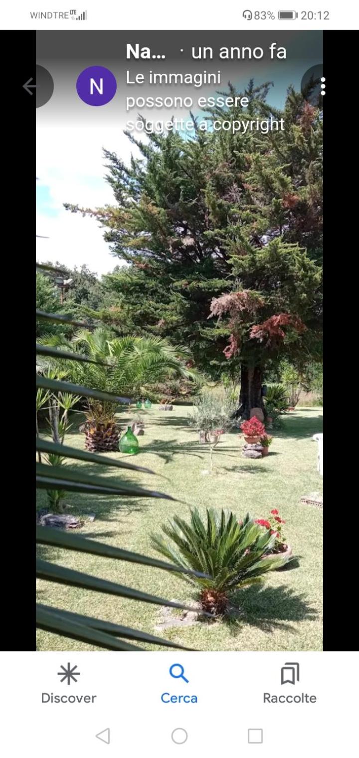 Large Double Room - Photo 6