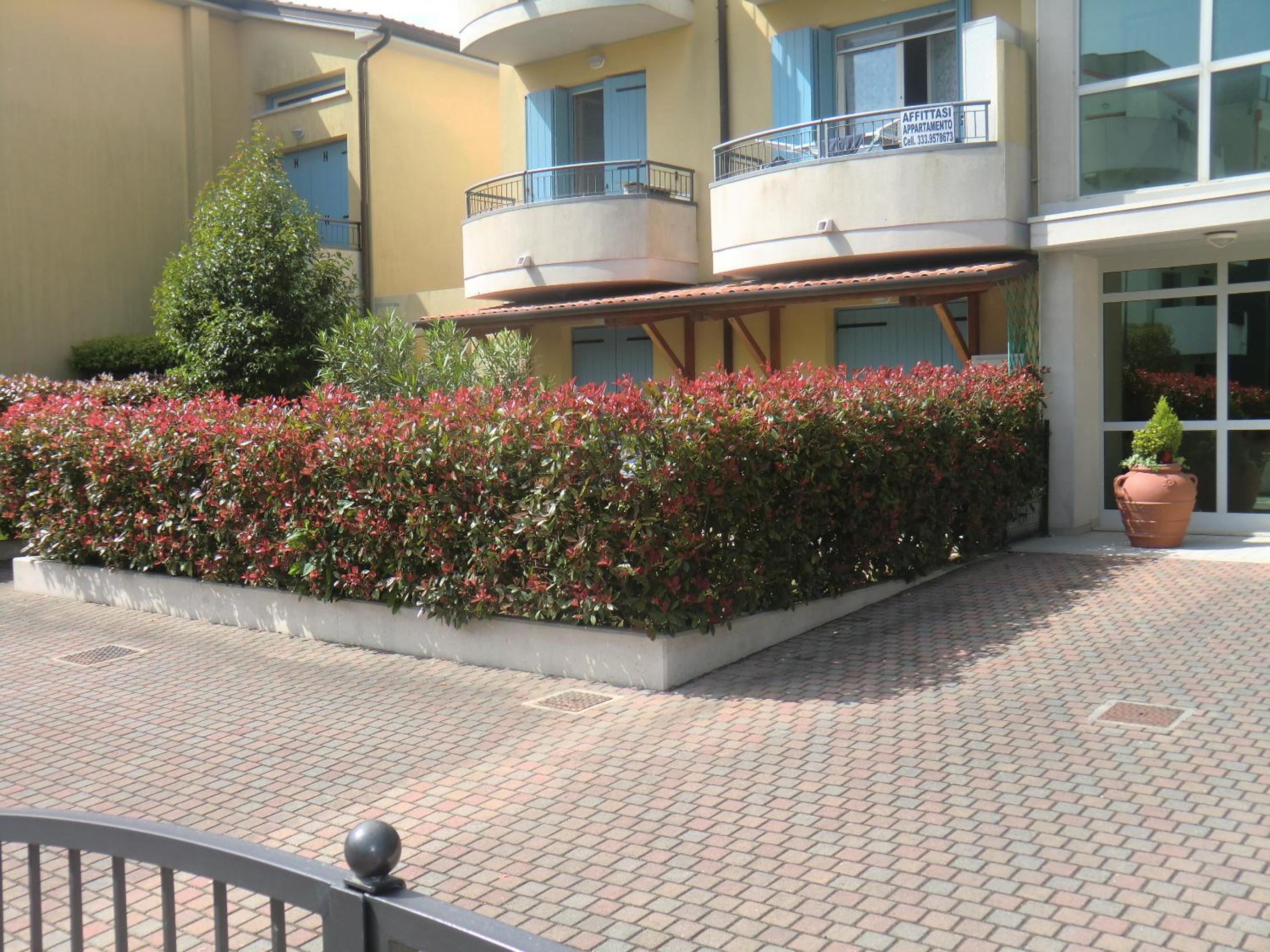 Apartment - Ground Floor photo 3