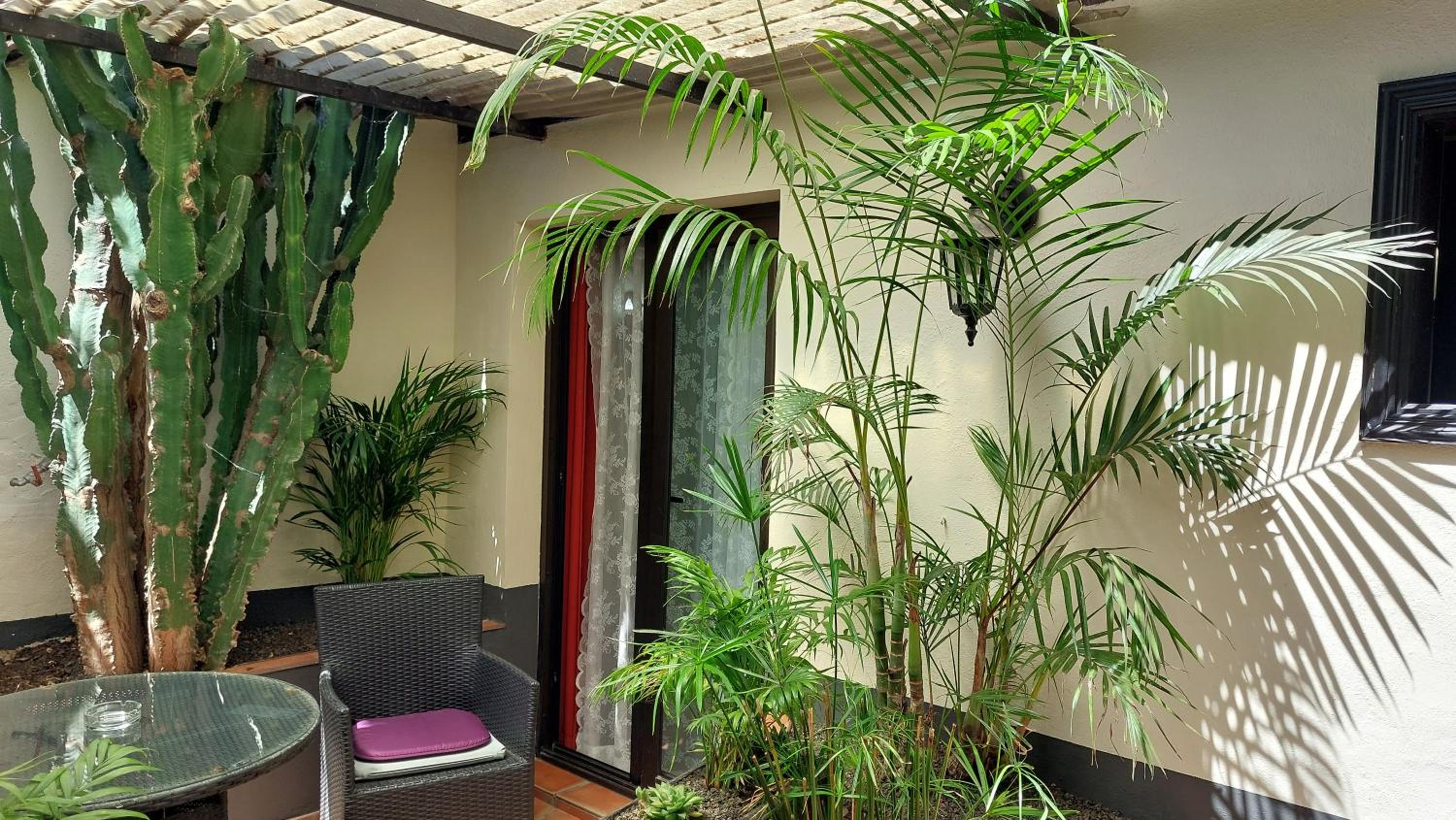 One-Bedroom Apartment with Terrace - Photo 25