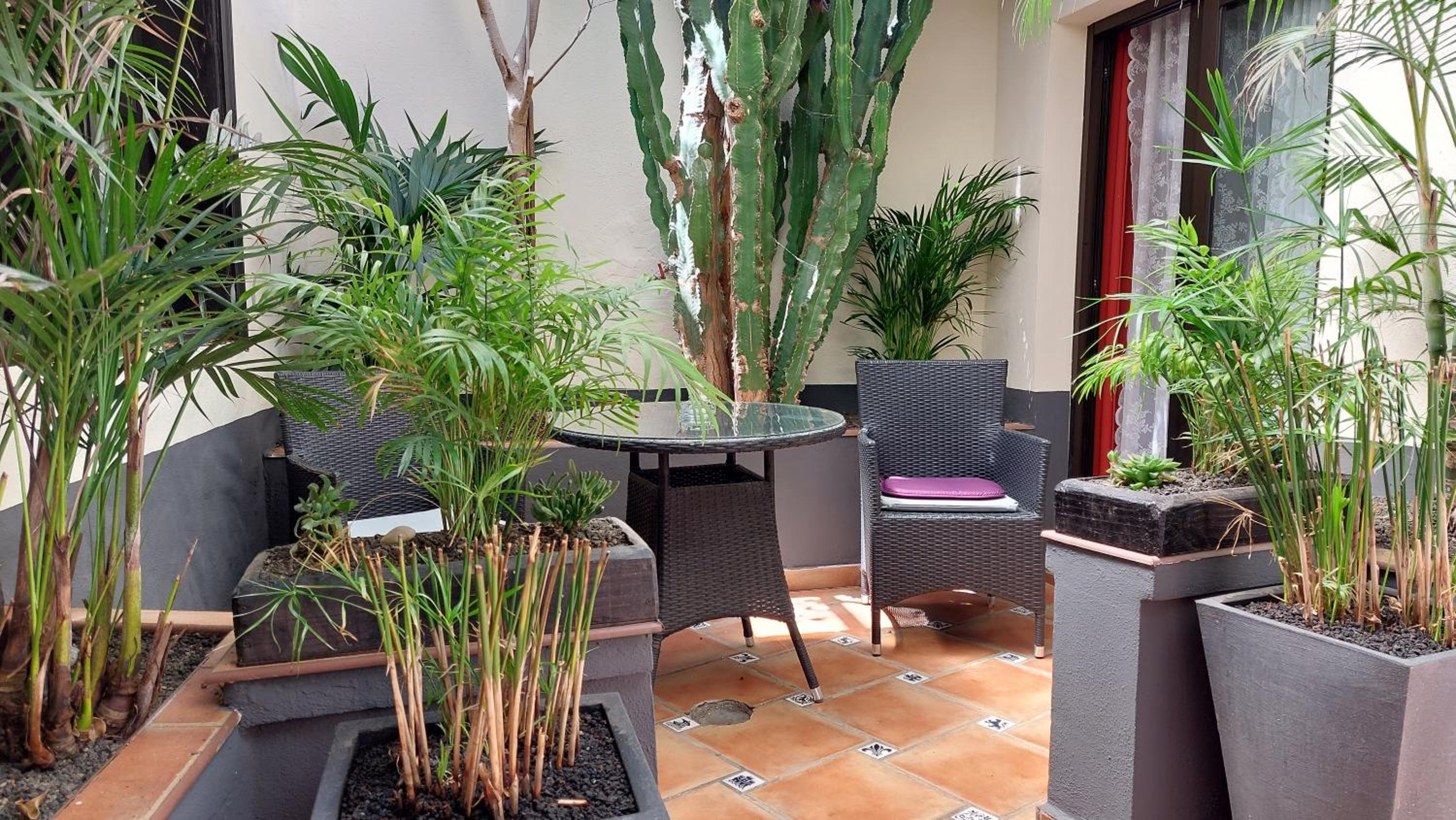 One-Bedroom Apartment with Terrace - Photo 29